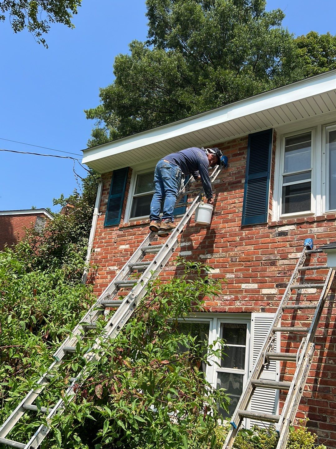 Springfield Tree Damage Restoration: CertainTeed Landmark Designer Shingles in Charcoal Black by RM Banning, Inc.