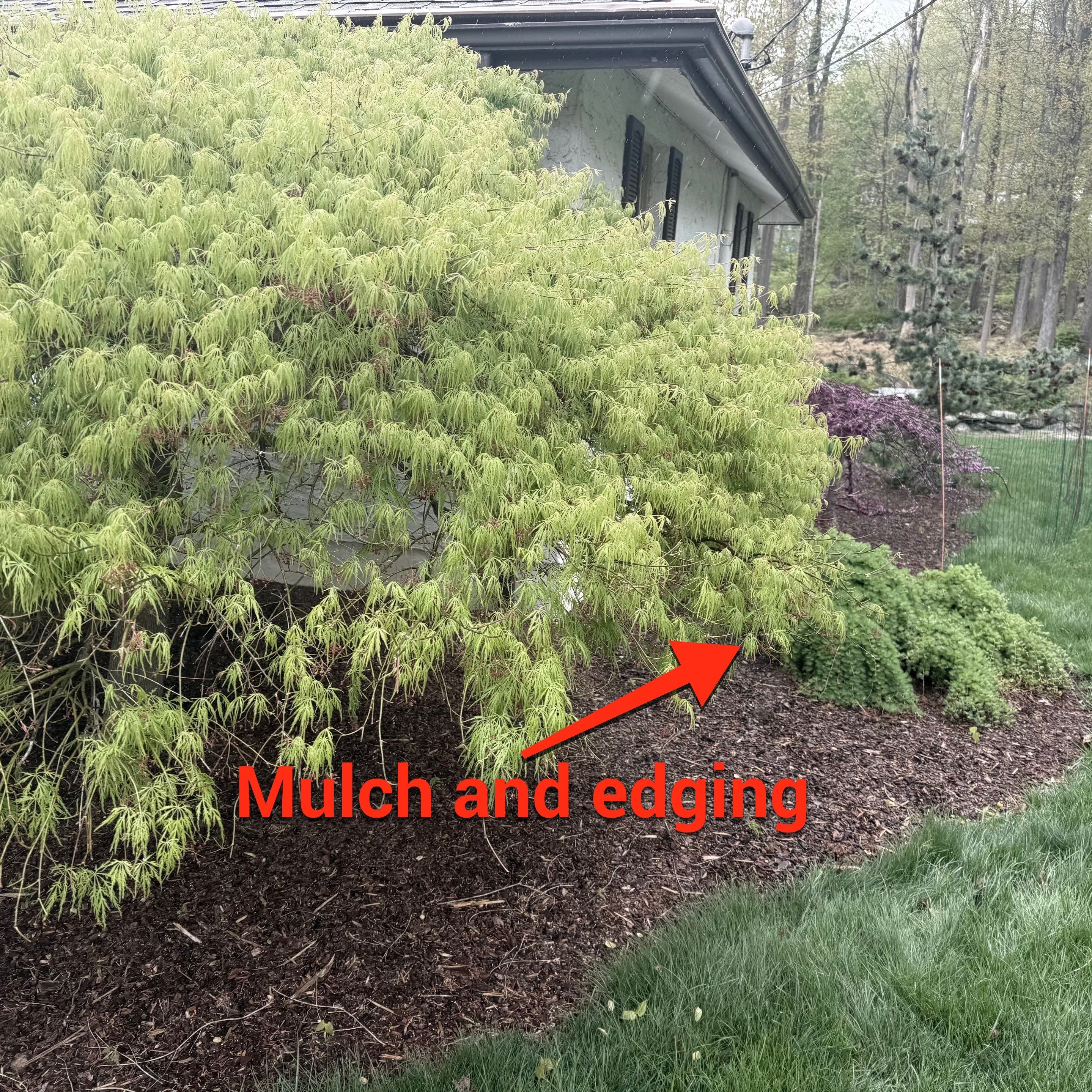 Driveway and Mulch  by L&C Landcare LLC