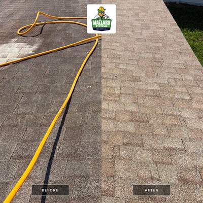 Asphalt Shingle Roof Cleaning for Winter Garden Residential Property