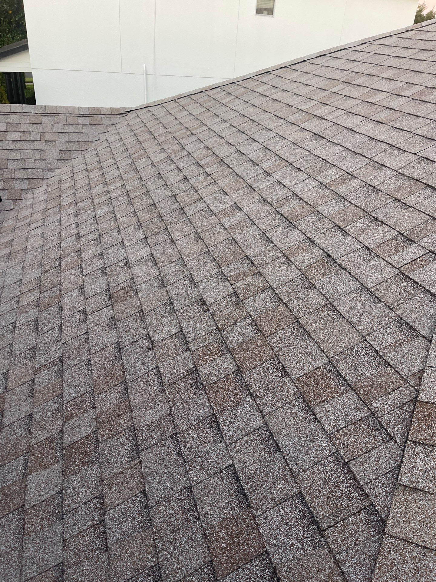 Shingle Reroof Replacement Apopka FL by Pinnacle Roofing Group