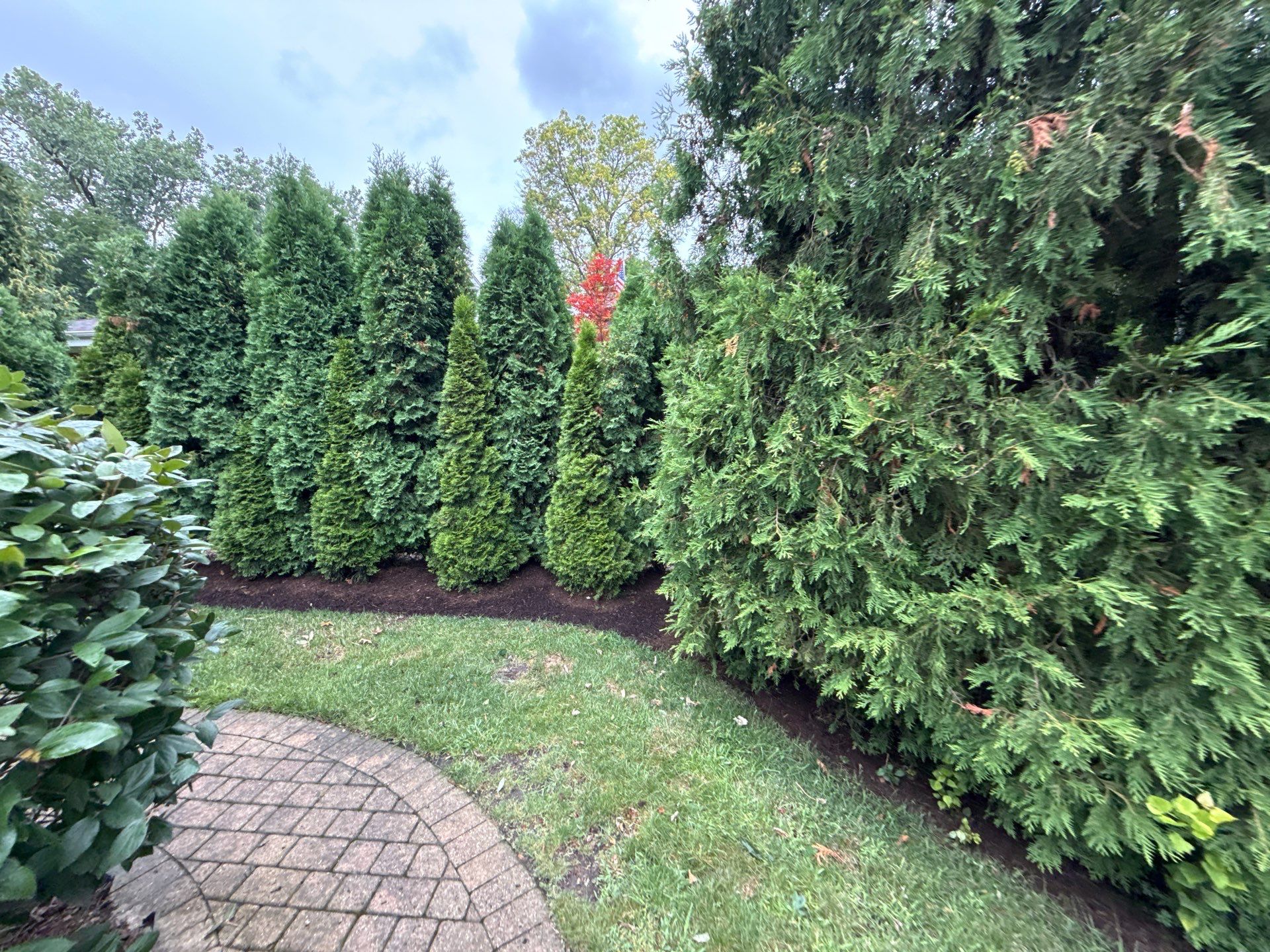 Christopher B. - Glenview, IL by A&N