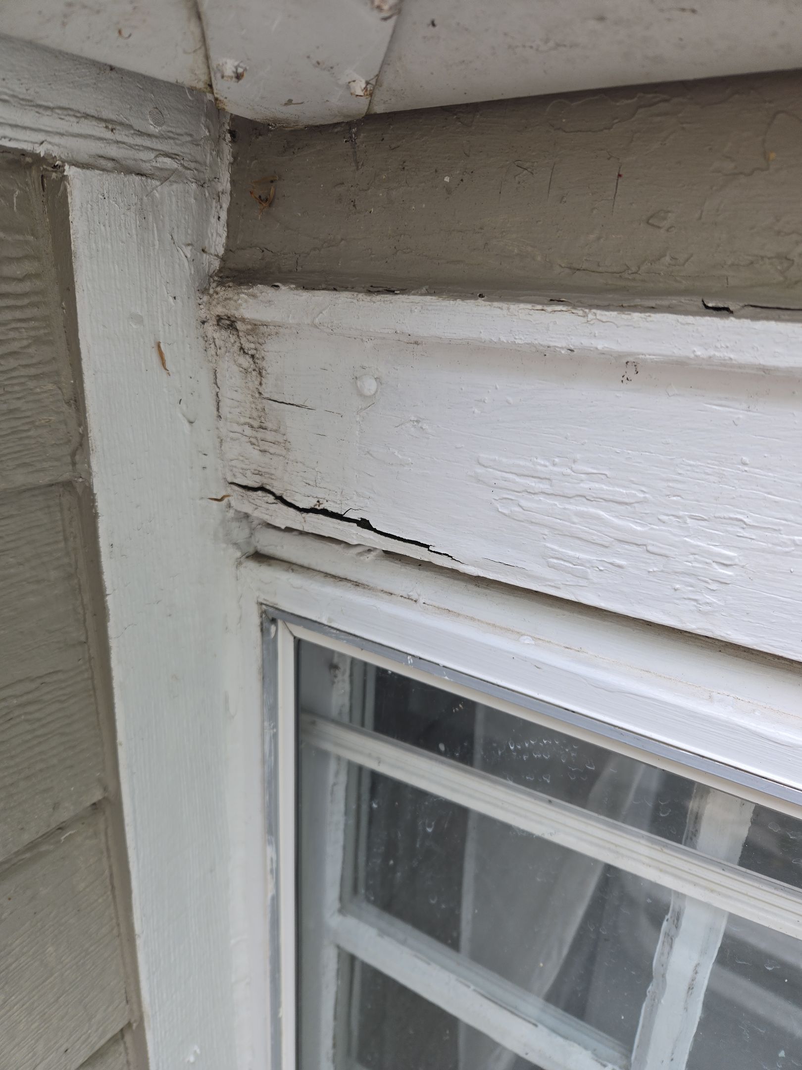 Comprehensive Gutter and Roof Maintenance Assessment in Dayton by Level Up Roofing and Restoration Services LLC