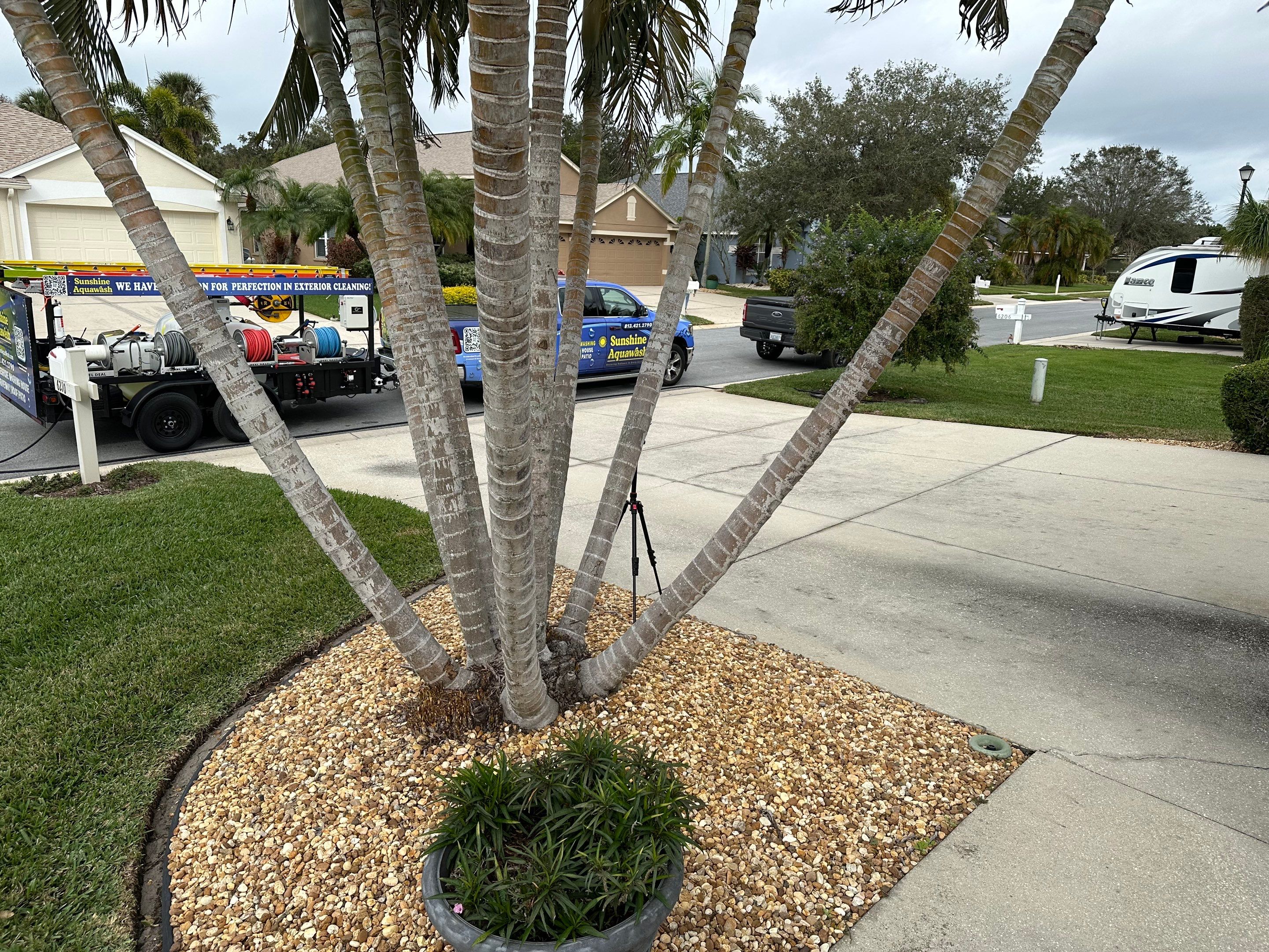 Concrete Driveway, Entryway & Street Curbing Cleaning in Fairways at Imperial Lakes, Palmetto, FL | Sunshine AquaWash by Sunshine AquaWash