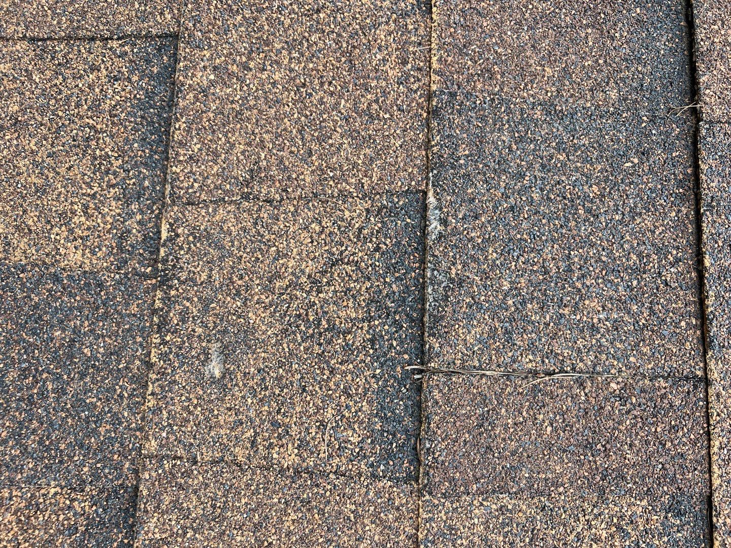 GAF Timberline HDZ - Hunter Green by Montana Roofing Solutions