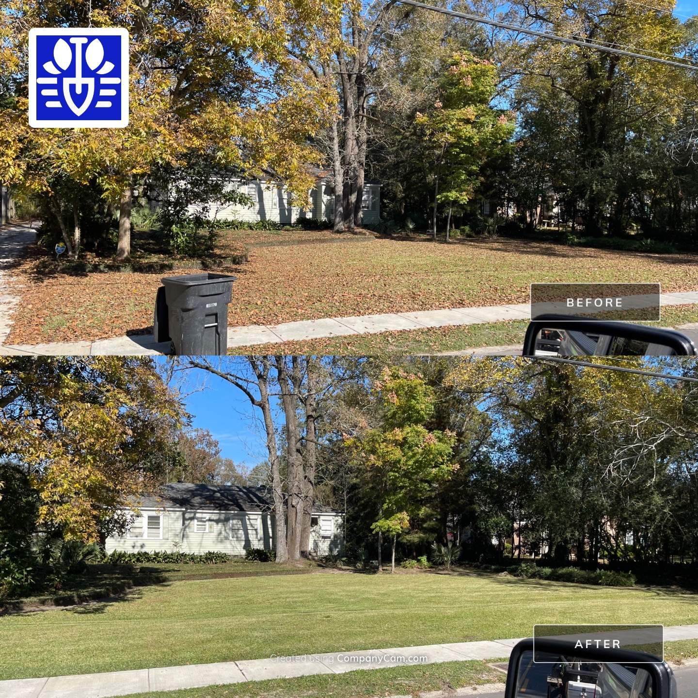 WINTER SERVICES: FULL LEAF JOB by CutScape, LLC.