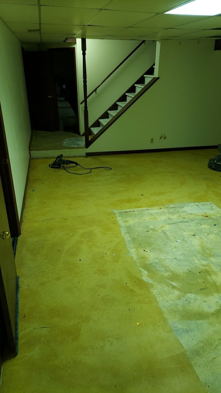 Basement in Domino - Girard, OH by Alexander Concrete Coatings
