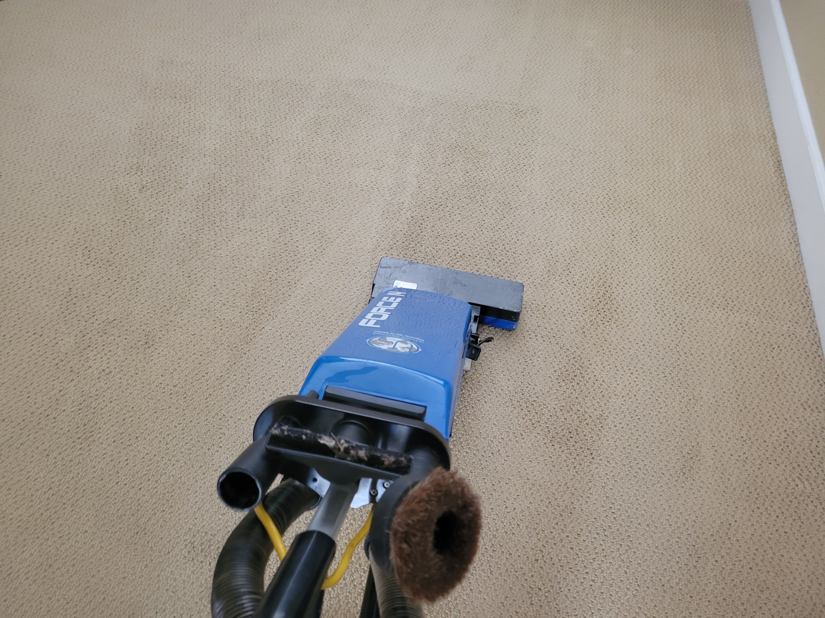 Looped-pile Carpet Cleaning by Ardent Carpet Restore LLC