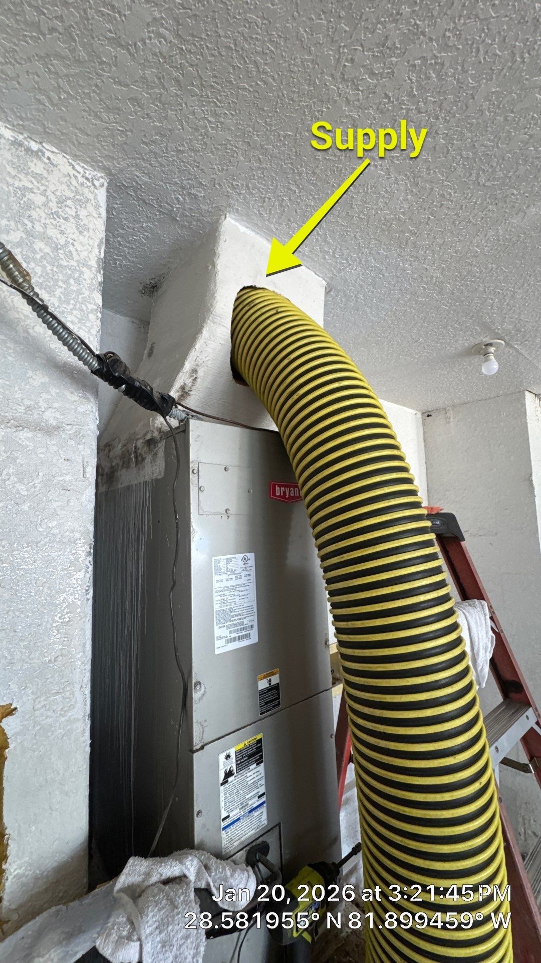 Air Duct and Dryer Vent Cleaning in Mascotte by Hygienic Air, Inc
