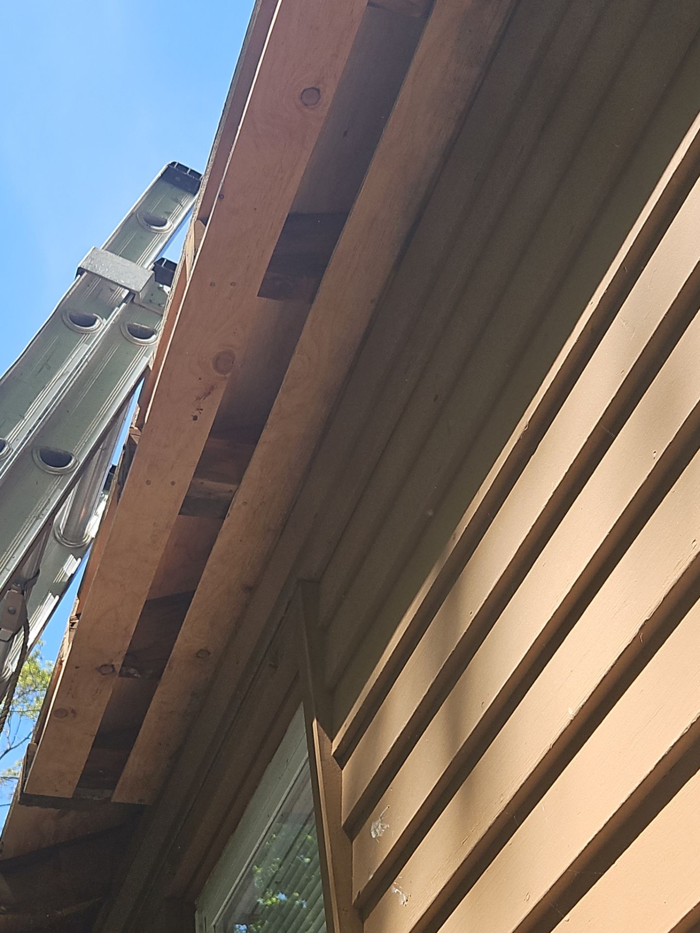 Siding & Roofing | Westford by Mighty Dog Roofing of Greater Middlesex County