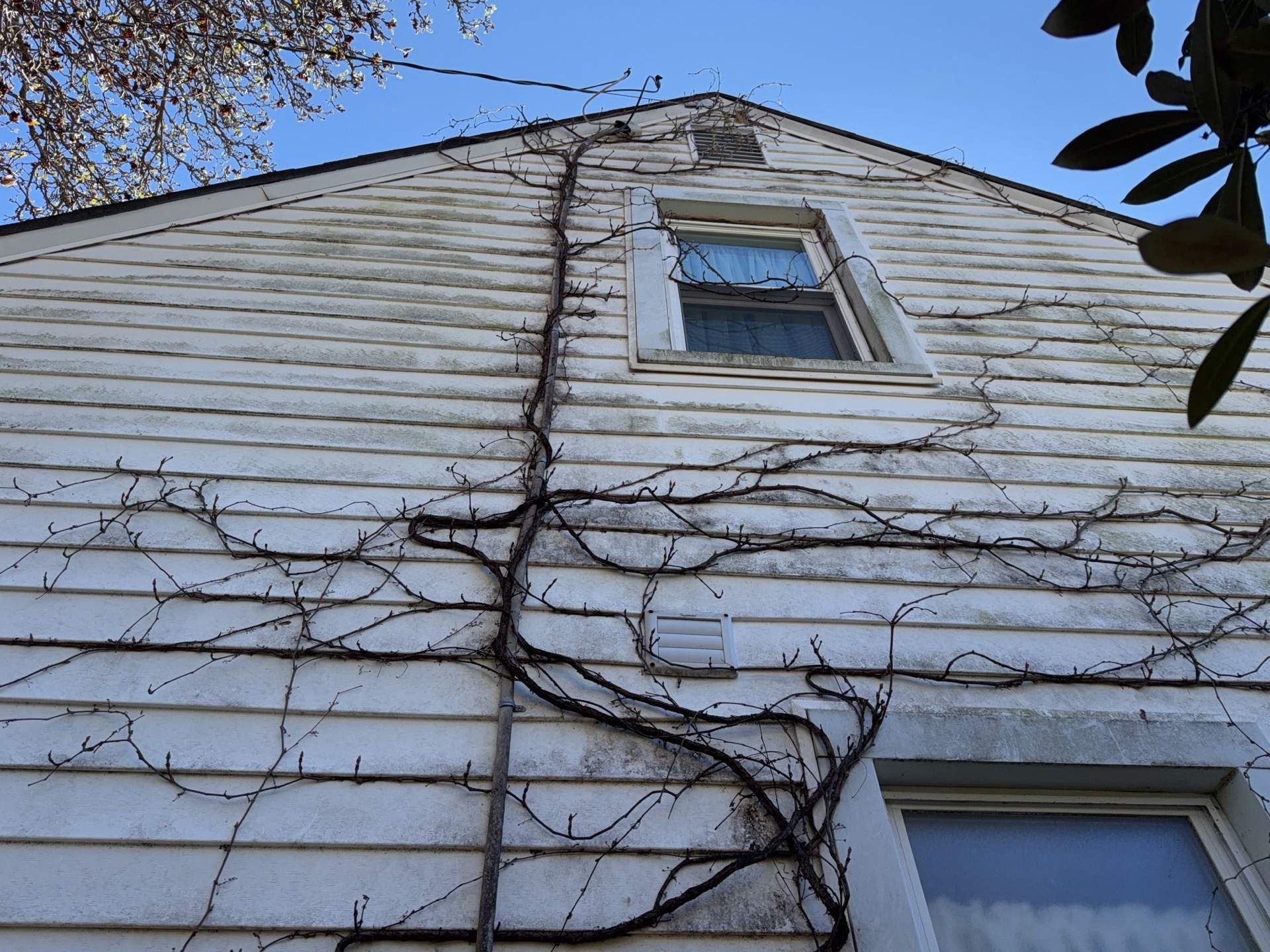 Autumn Yellow Makeover in New Kensington by Ideal Siding Pittsburgh