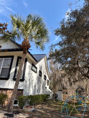 Project in De Leon Springs