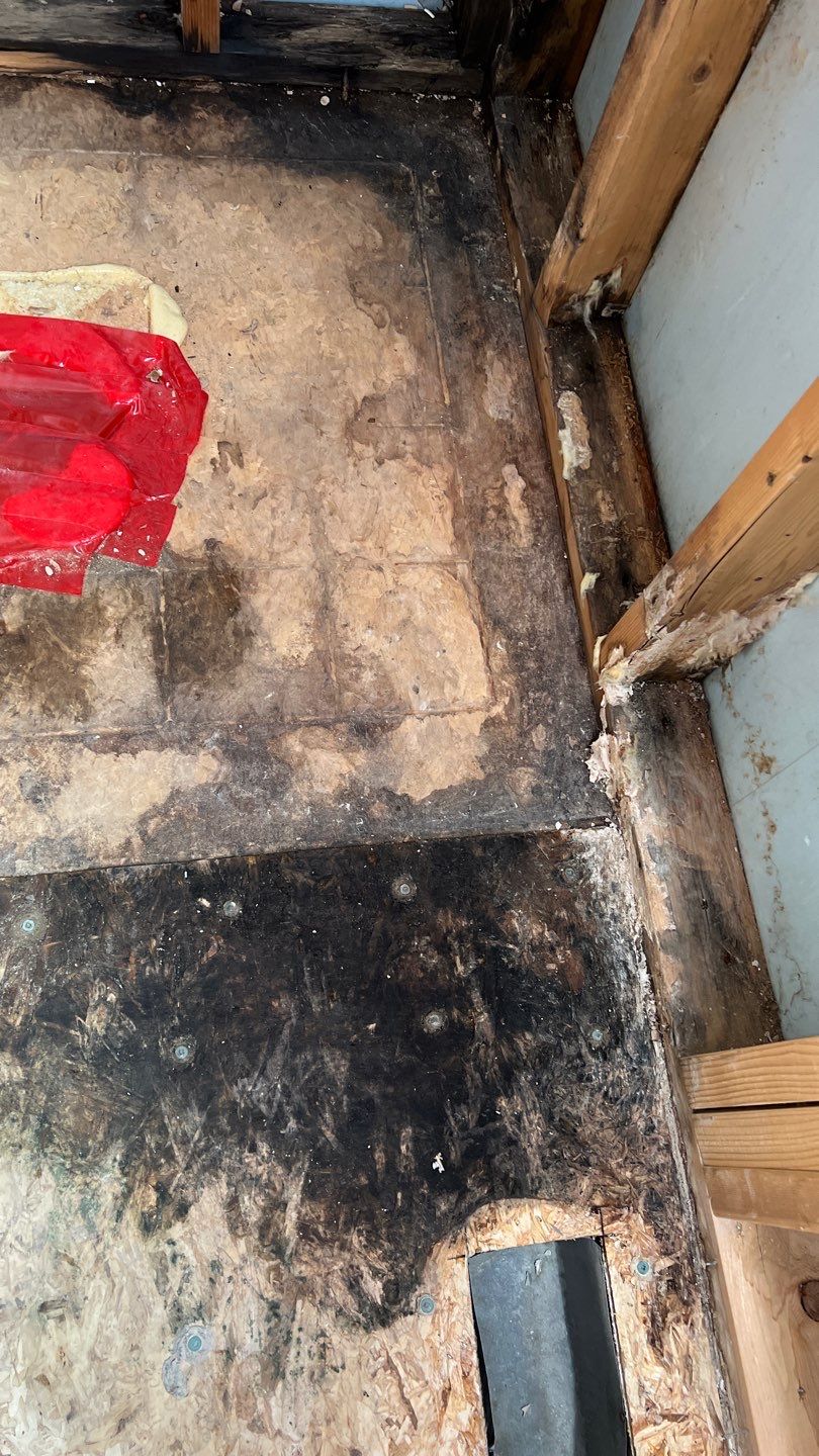 Water Damage and Mold Remediation by Accountable Home Services