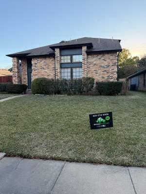 Windows and Exterior Paint