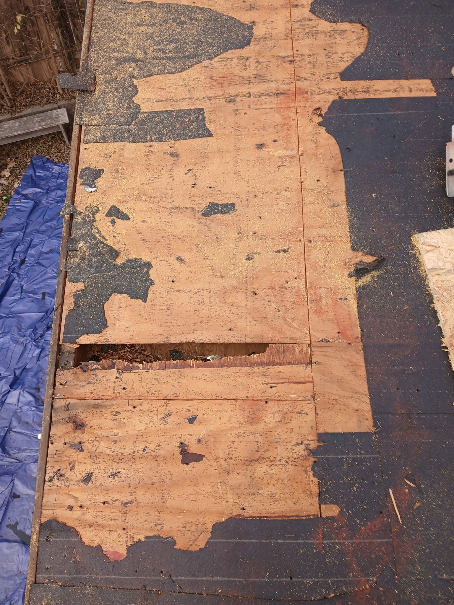 [Almost] All Trades by REPS OF TEXAS