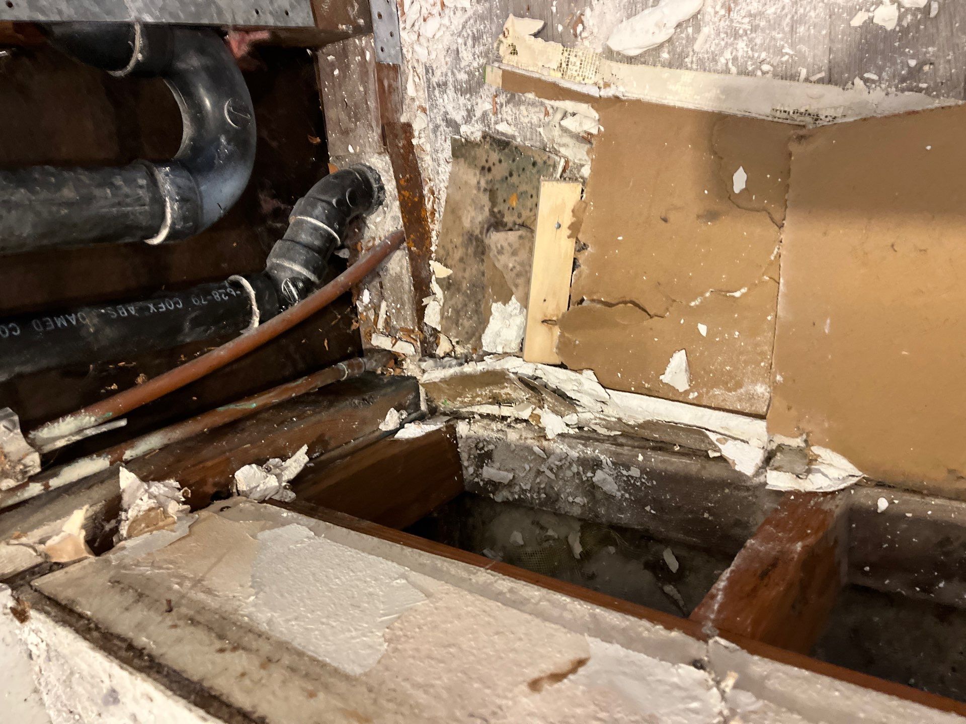 Mold Remediation & Rebuild in Laguna Niguel by One Stop Source