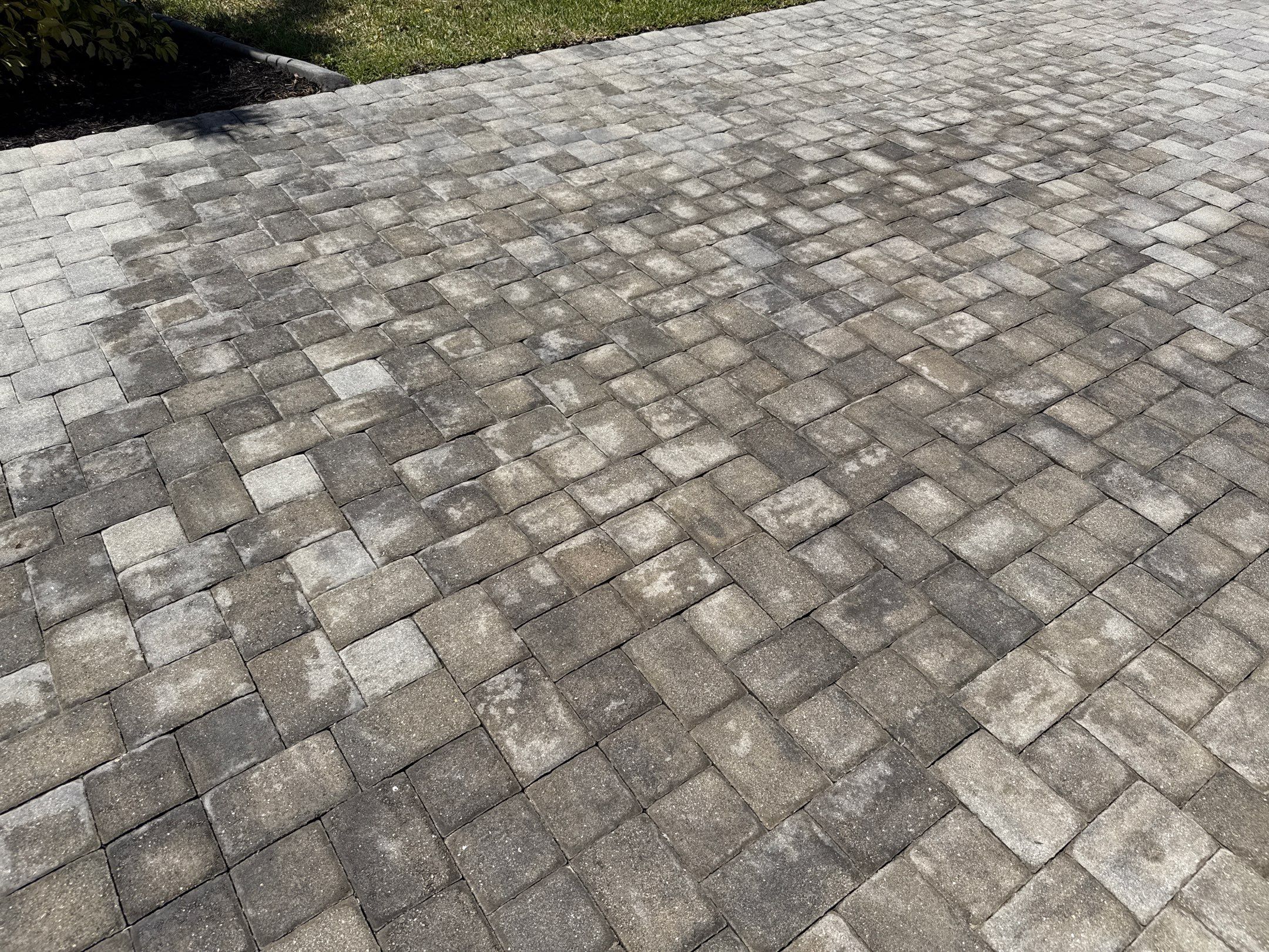 Paver Driveway & Concrete Cleaning | Trevesta Community | Palmetto, FL by Sunshine AquaWash