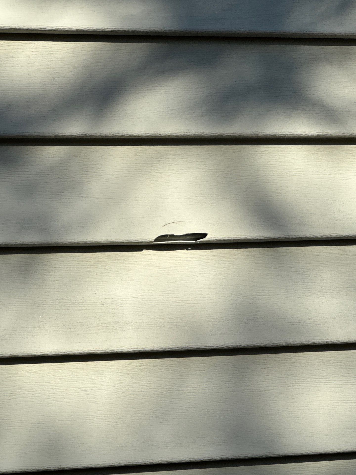 Siding | Waltham by Mighty Dog Roofing of Greater Middlesex County