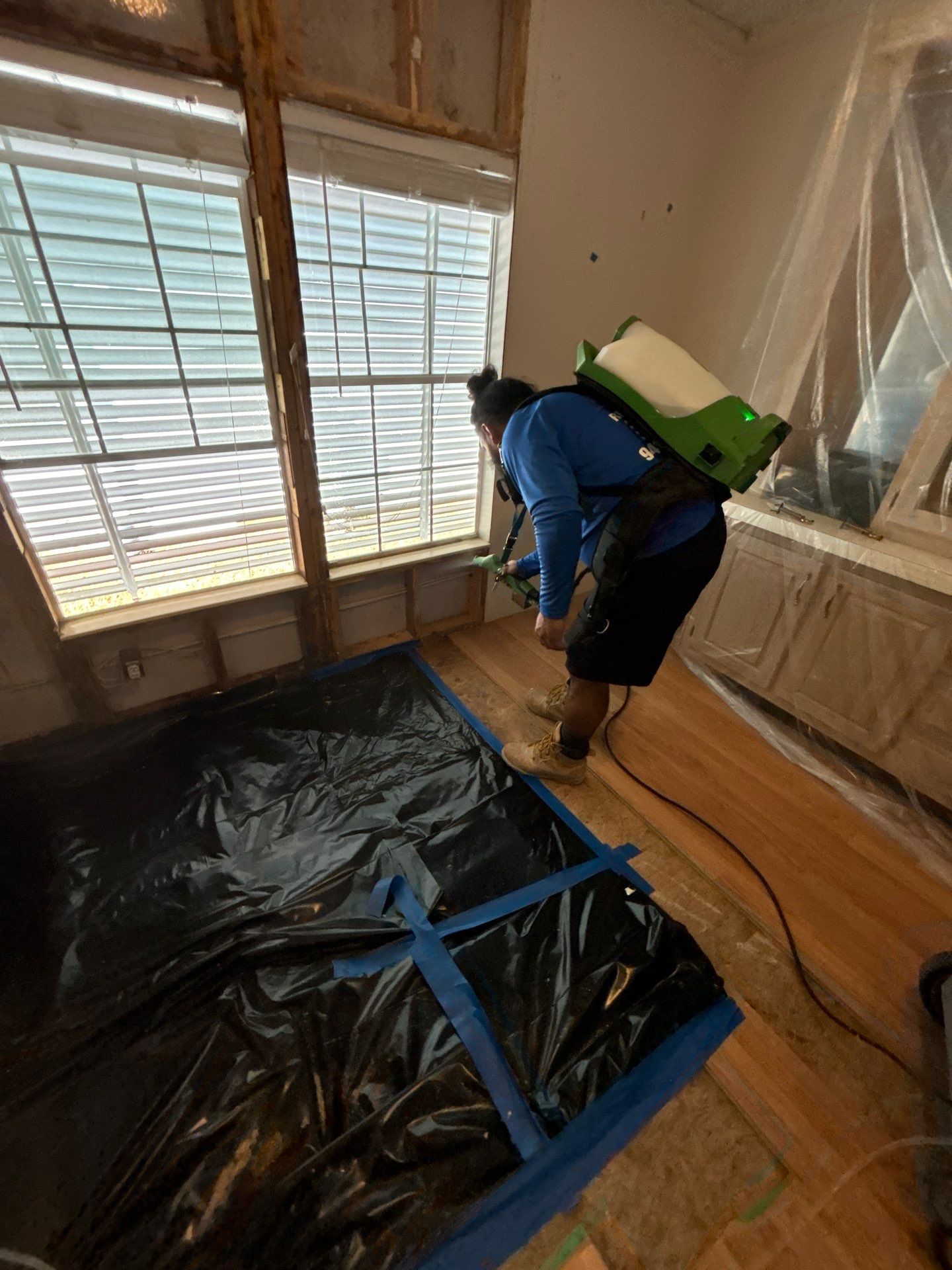 Mold Remediation Palmetto by Ampm Restoration Services 
