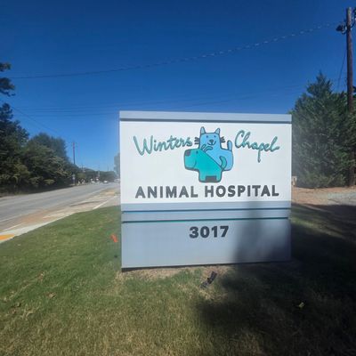 Commercial Vinyl Plank Flooring Installation at Dunwoody Veterinary Clinic
