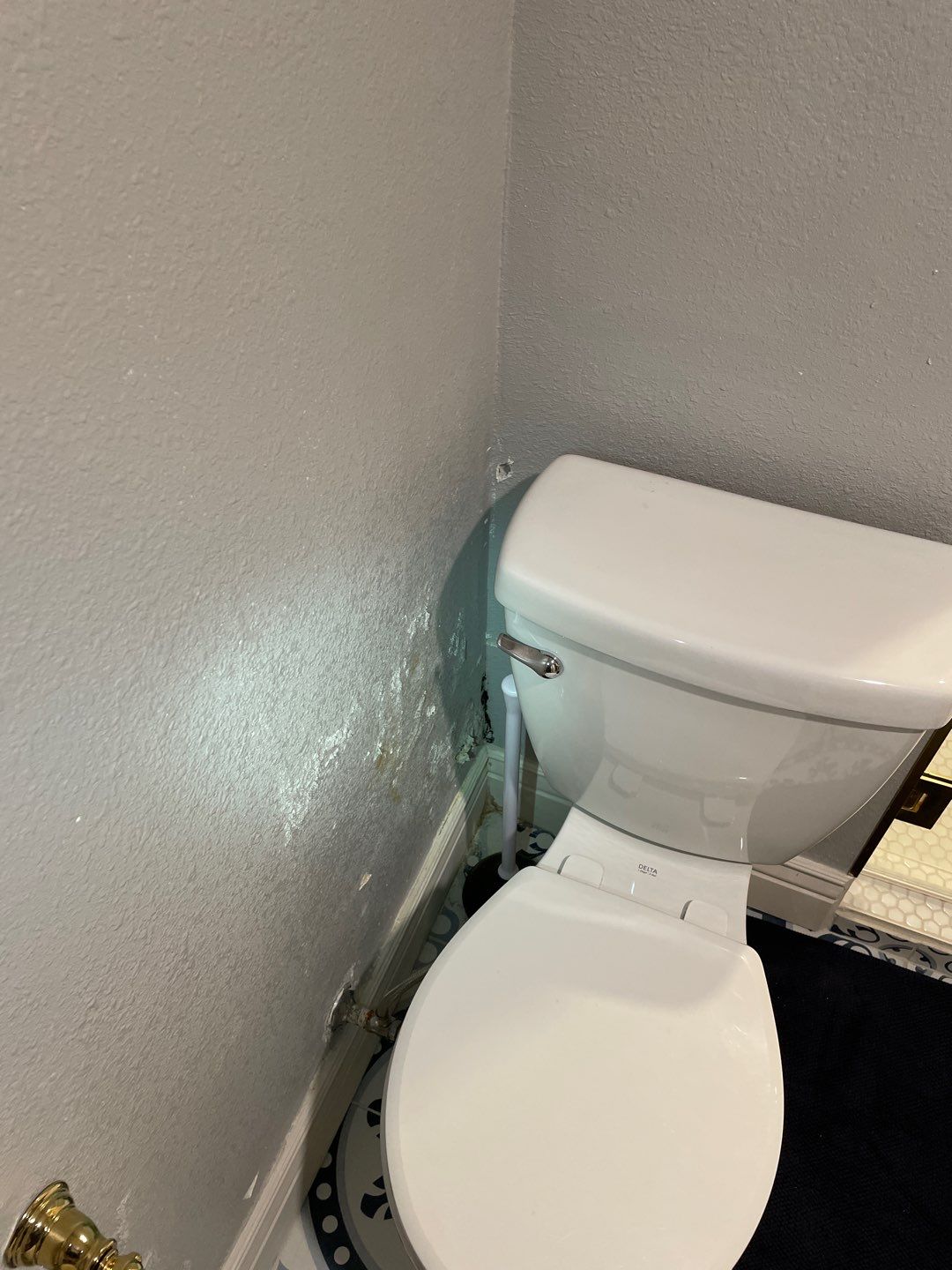 Mold Remediation by Accountable Home Services