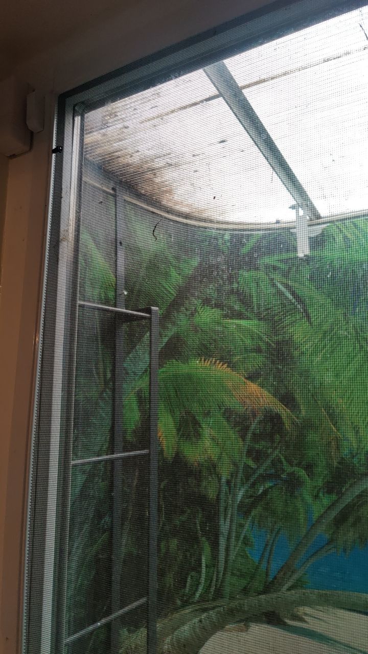 Water Damage by Accountable Home Services