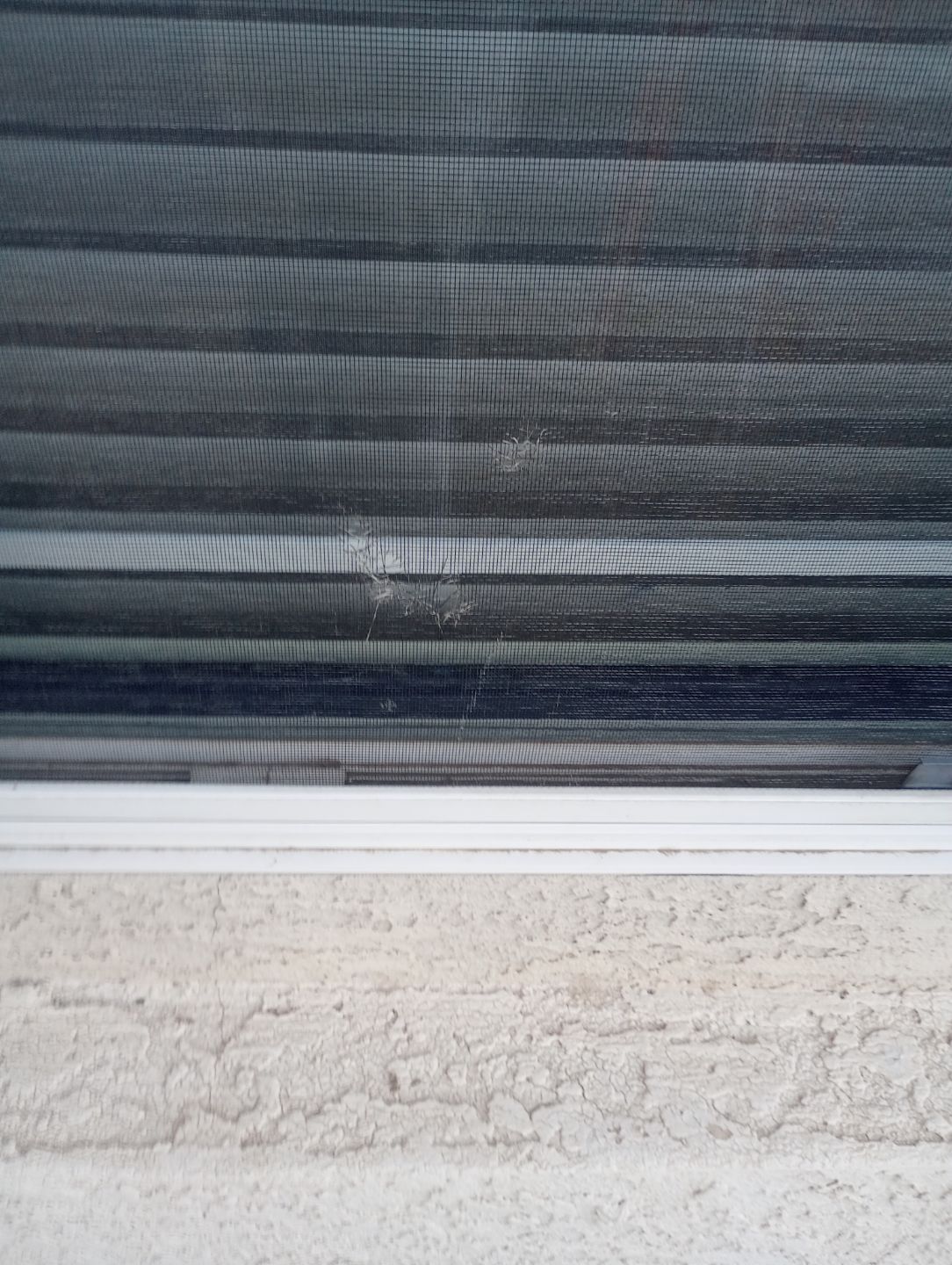 Exterior Painting - Phoenix by Crash of Rhinos Painting & Garage Floors