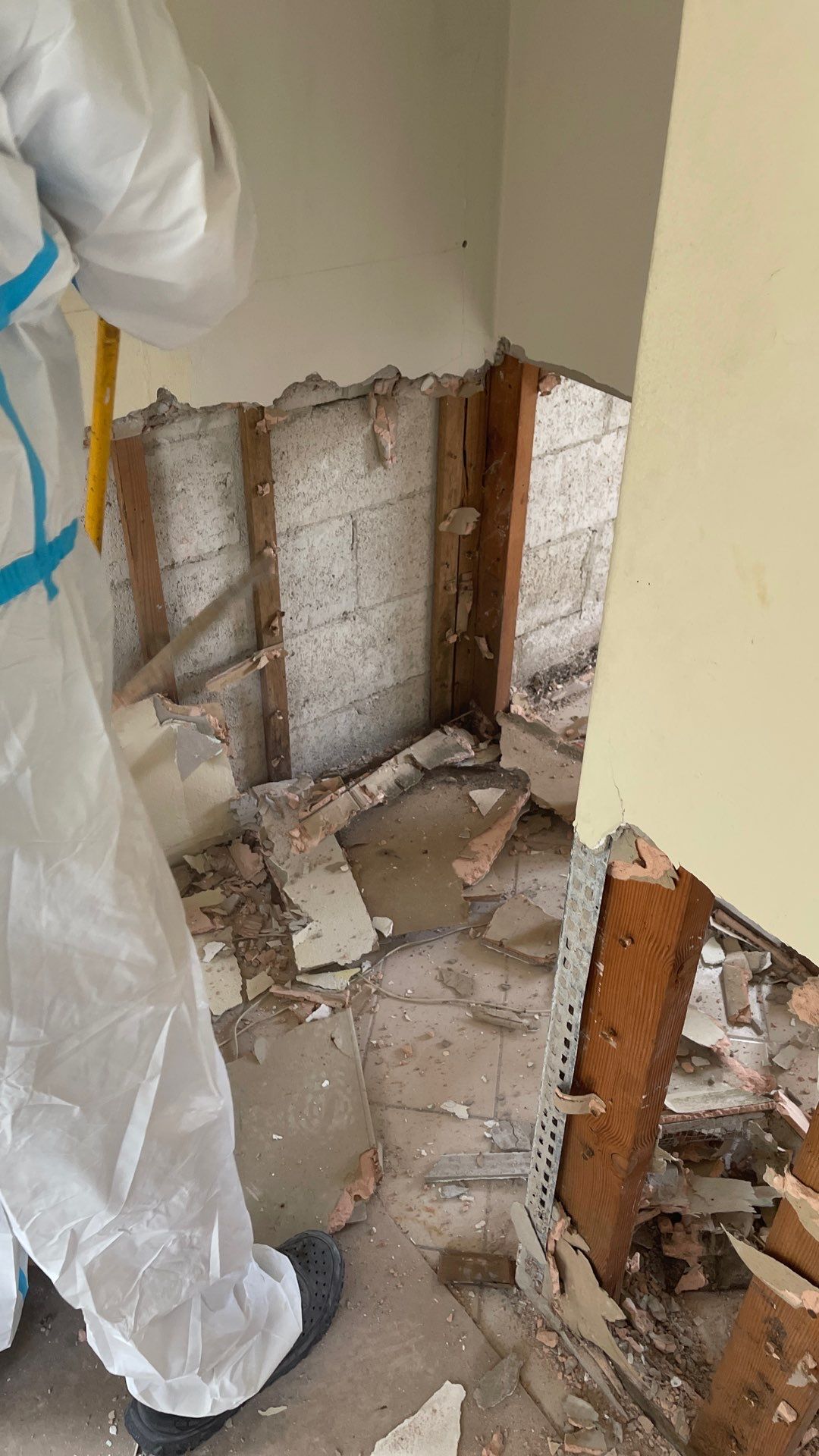 Mold Remediation  by THE RAPID TEAM