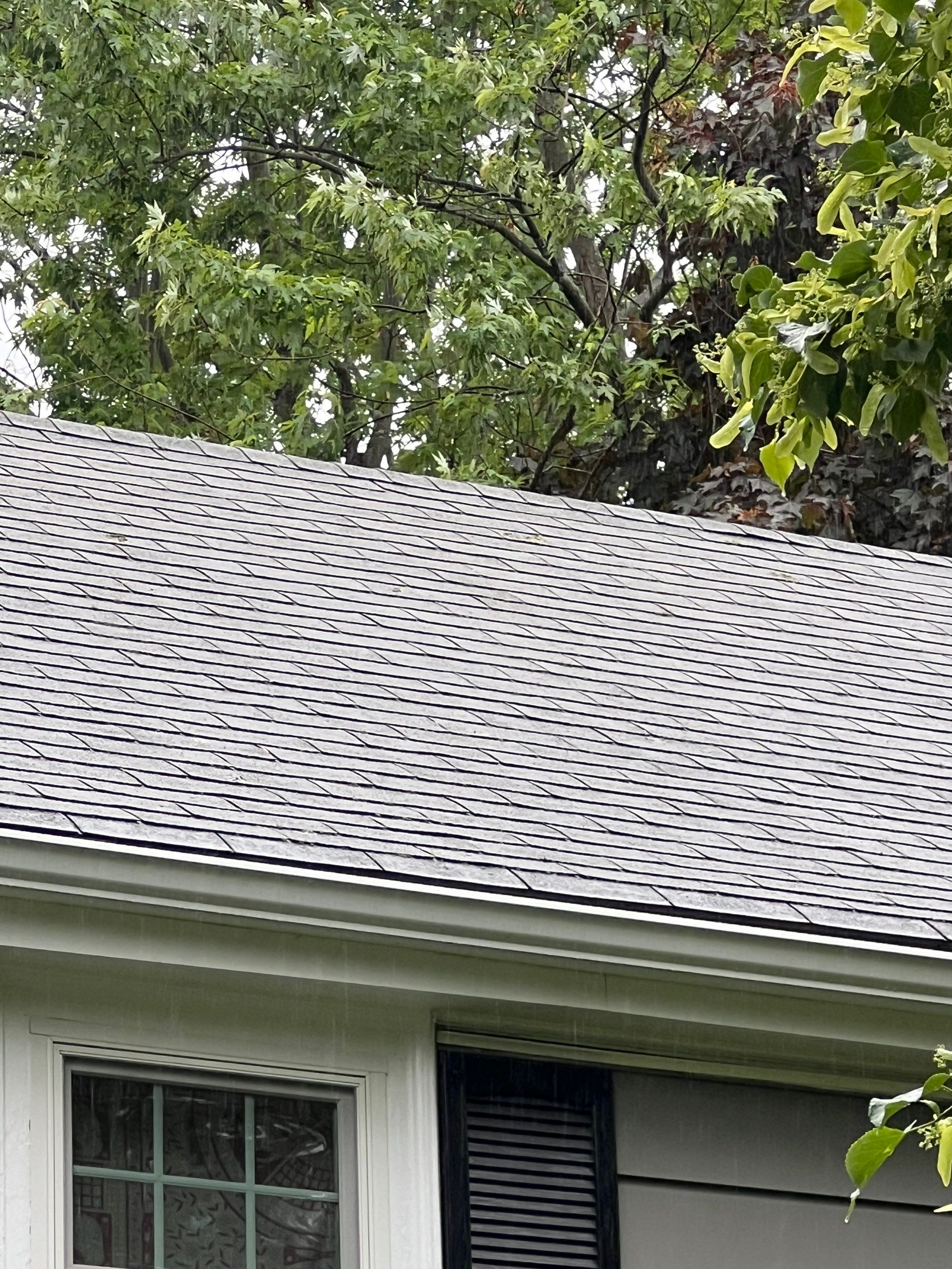 Complete Roof Replacement with Ventilation Upgrade by Mighty Dog Roofing of Greater Middlesex County