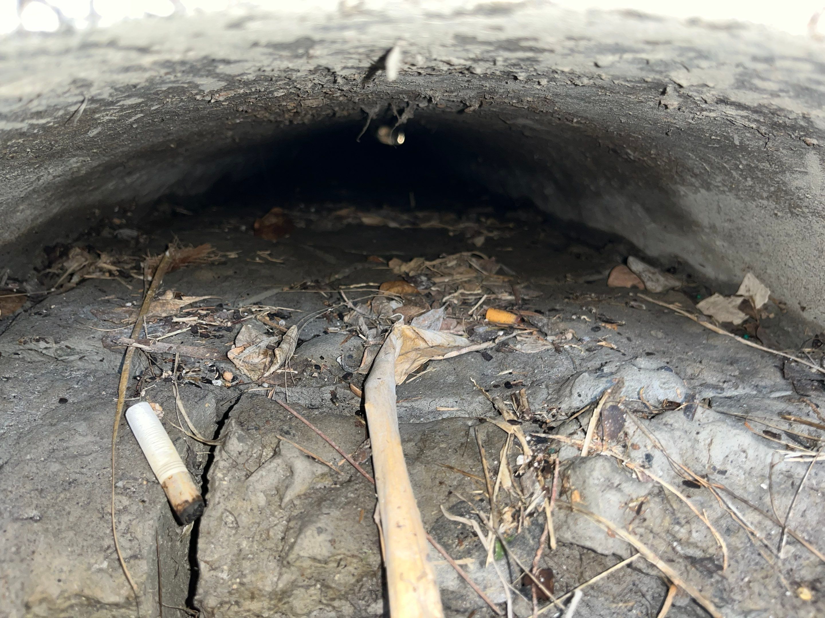 Condo Storm Water System Cleaning and Maintenance After Hurricane Ian by APS Power & Water