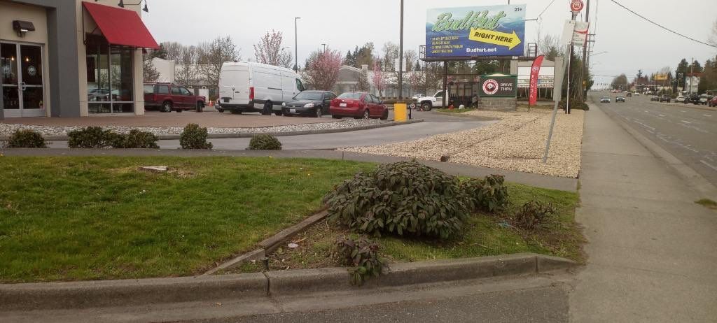 Panda Express | Striping  by Jireh Asphalt & Concrete Inc 