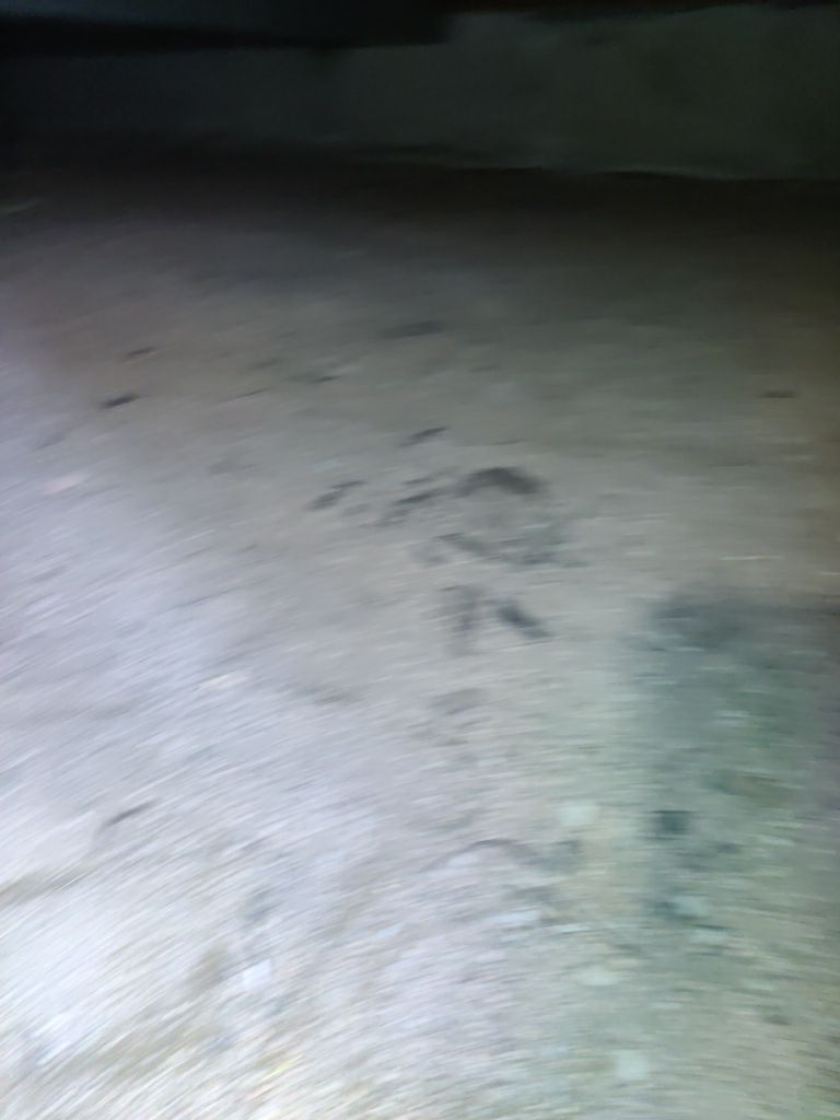 Crawl Space Cleanup  by Accountable Home Services