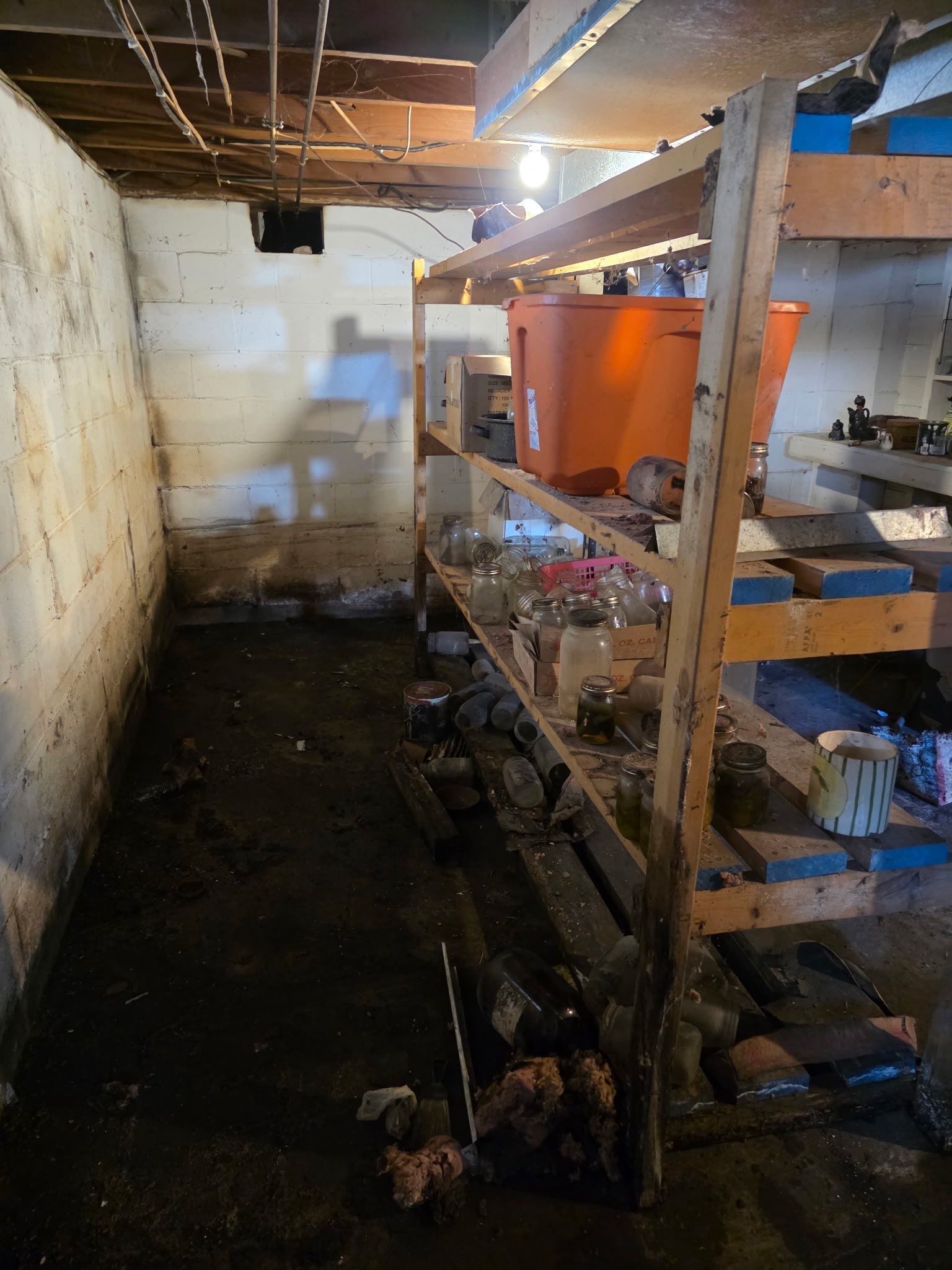 Taking Back Your basement by Local waterproofing And Concrete