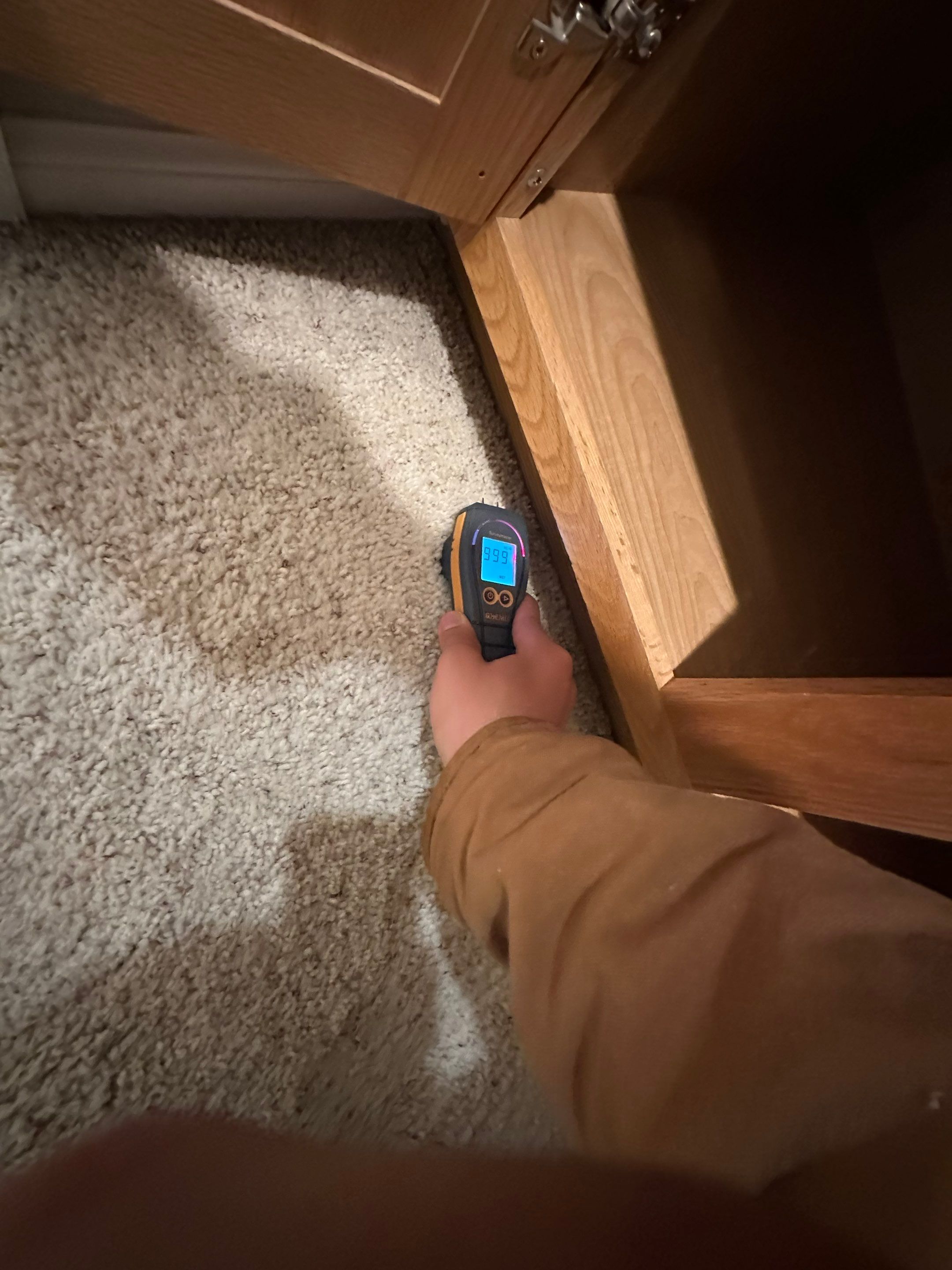 Water Damage in Highlands Ranch by Alpha Restoration 