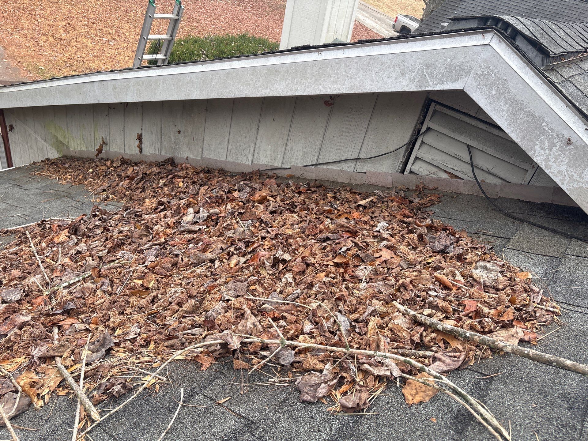 Clean Roof, Strong Home 🍂 by Georgia Roof Advisors