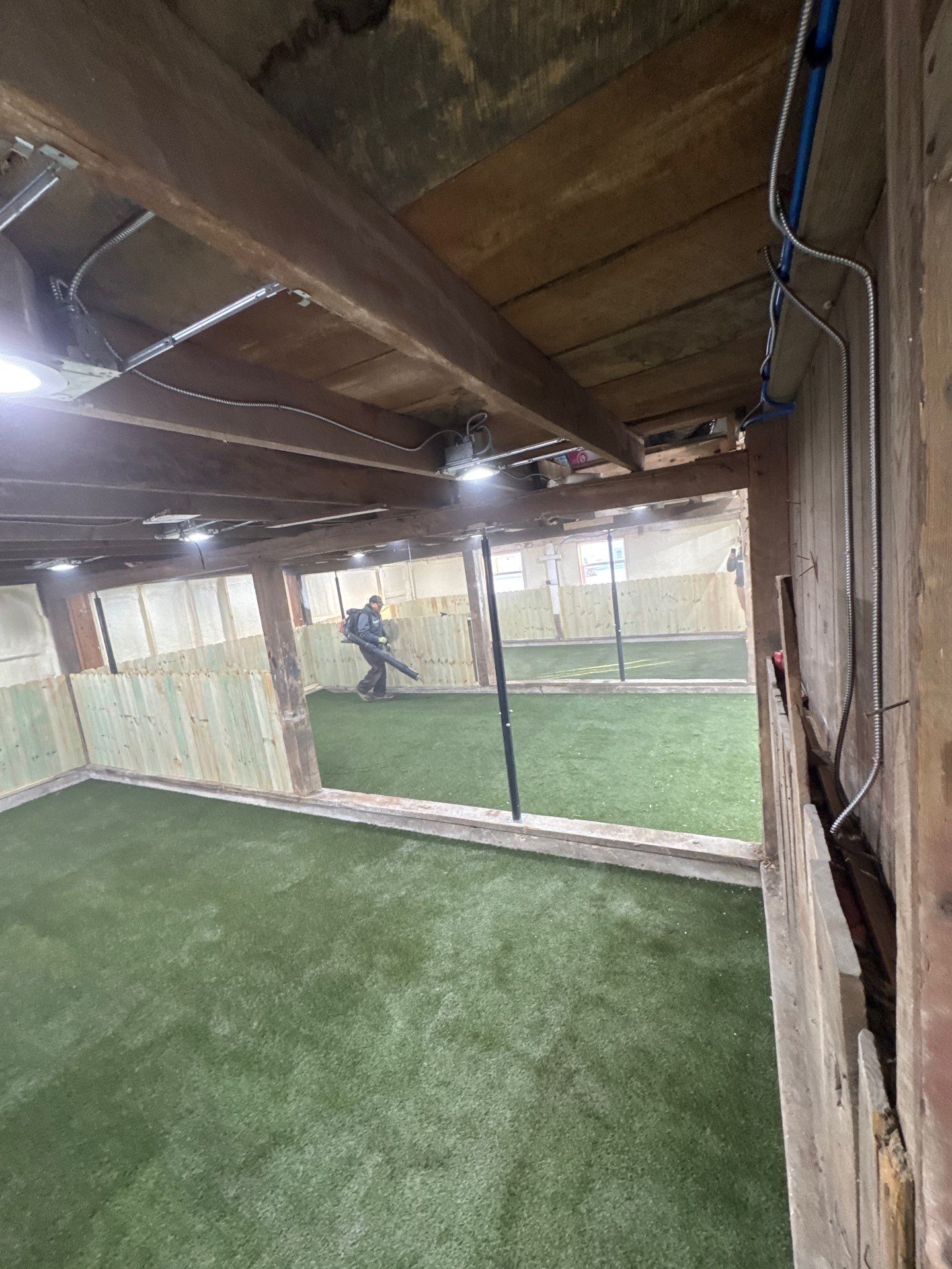 K9Grass in Pittsboro, IN by ForeverLawn NEIN/INDY