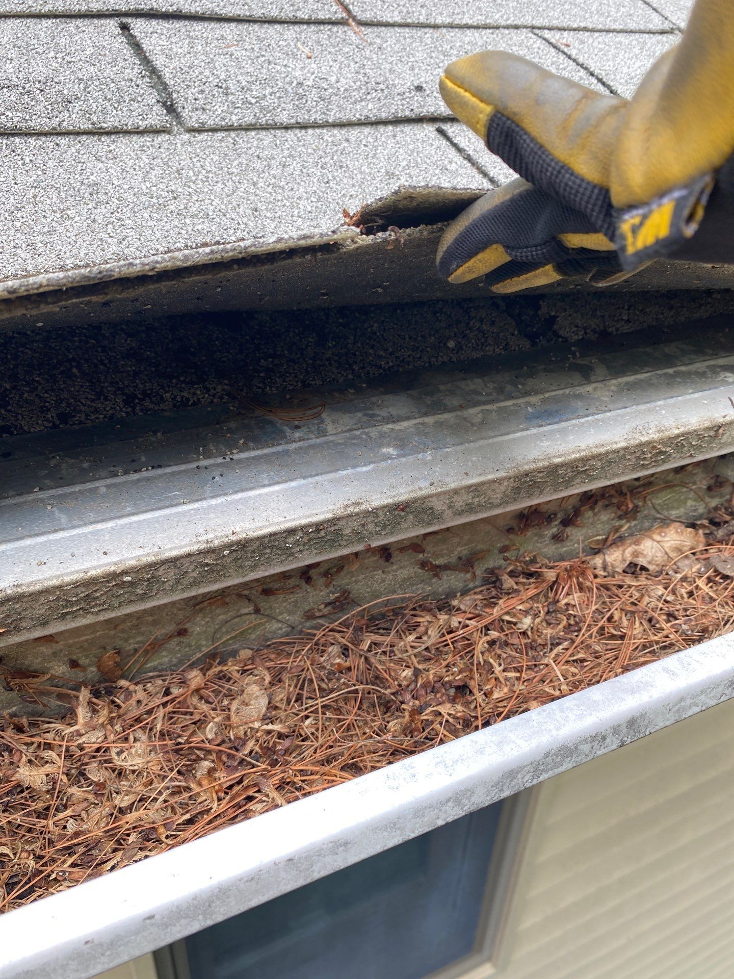 Skylight Replacement & Re-Flashing – Wilmington, MA by Mighty Dog Roofing of Greater Middlesex County