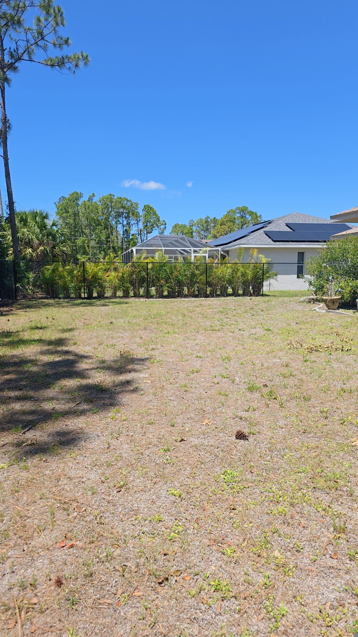 Black Chain Link Fence in North Port by True Fence LLC