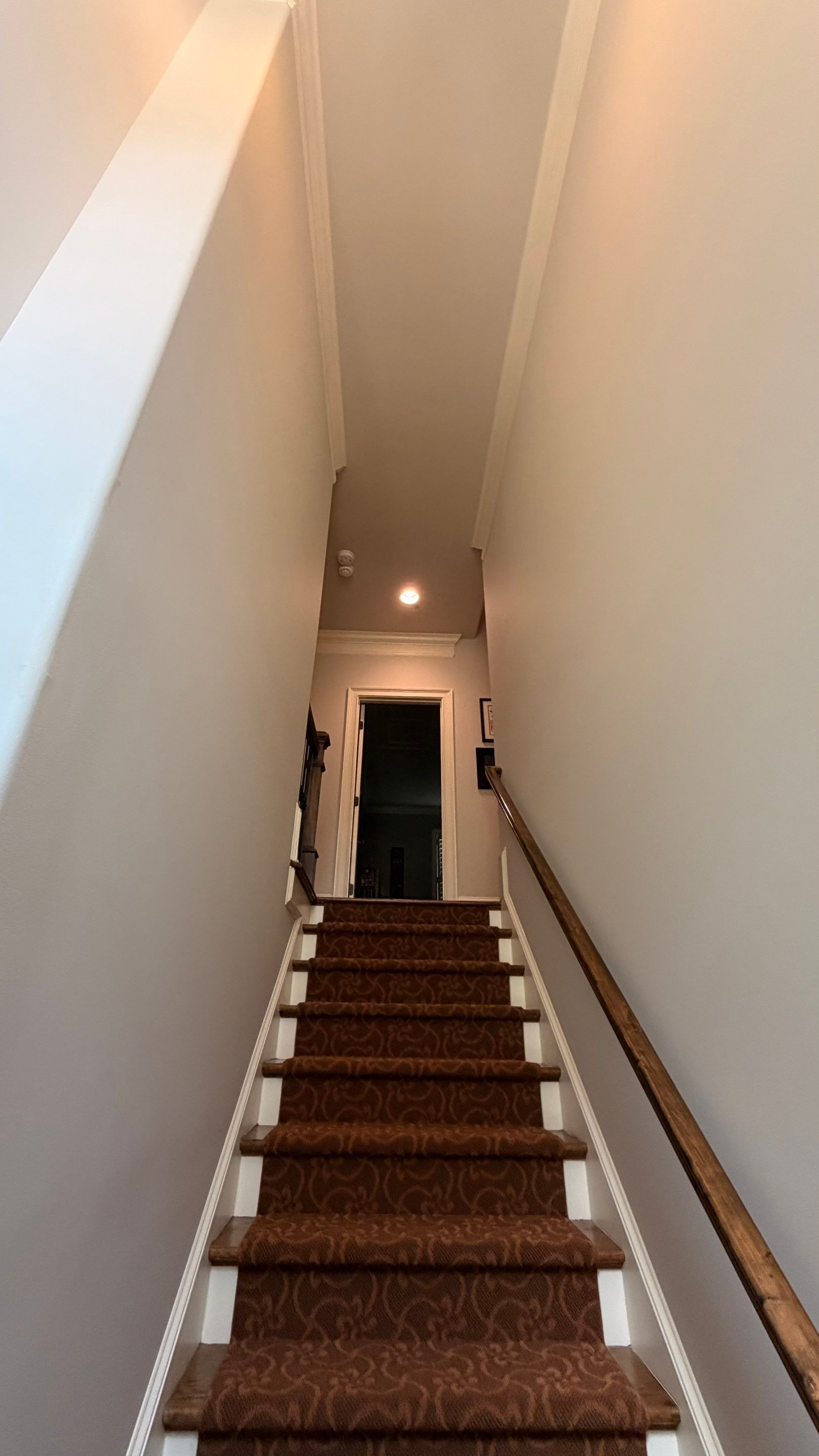 Comprehensive Interior and Exterior Painting With Custom Deck Staining by Swift Home Renovations
