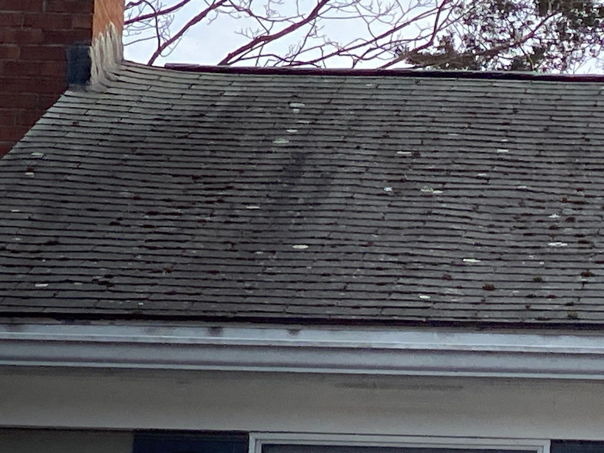 Project in Lexington by Mighty Dog Roofing of Greater Middlesex County