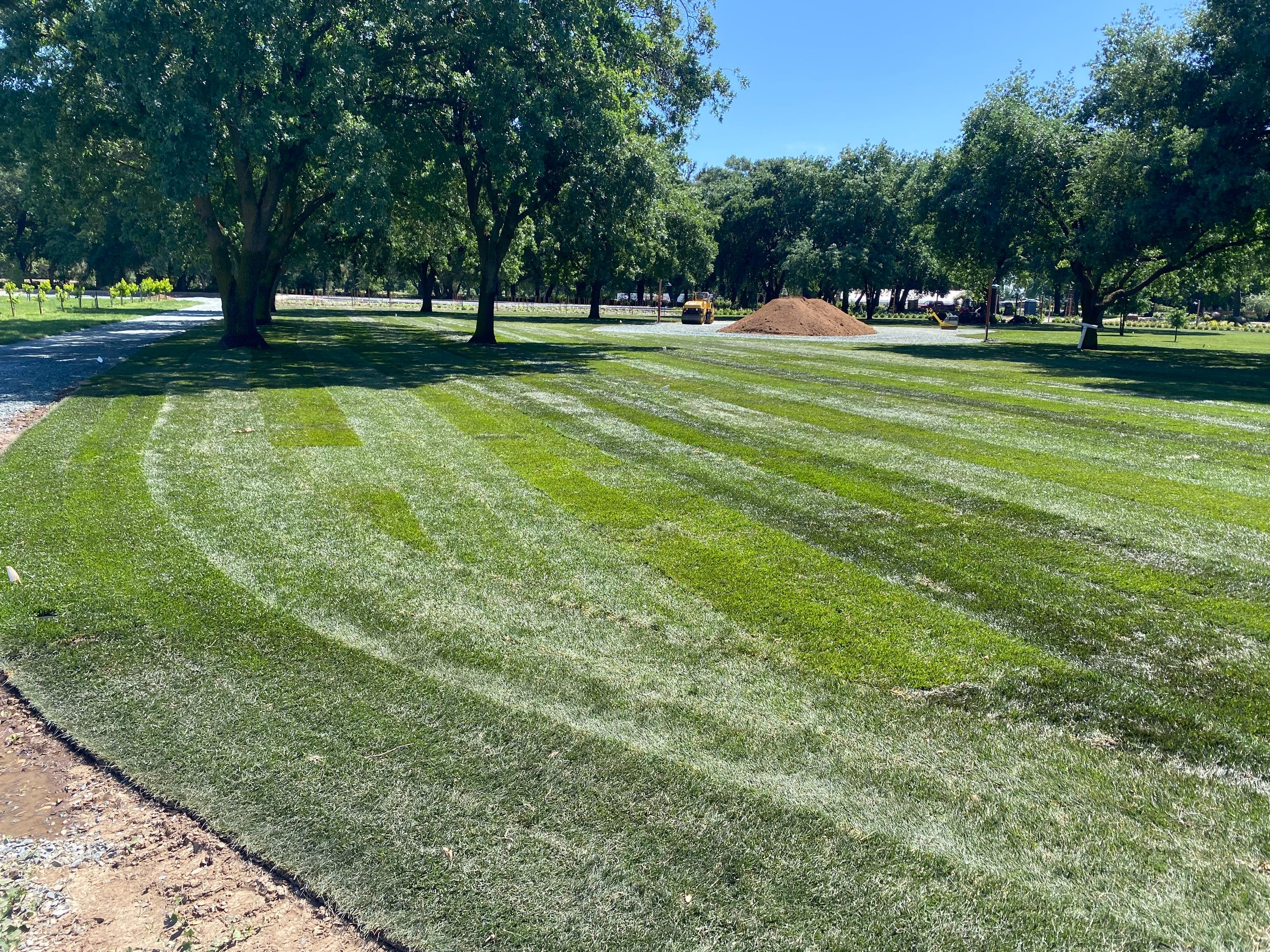 Project in Lodi by A - G Sod Farms