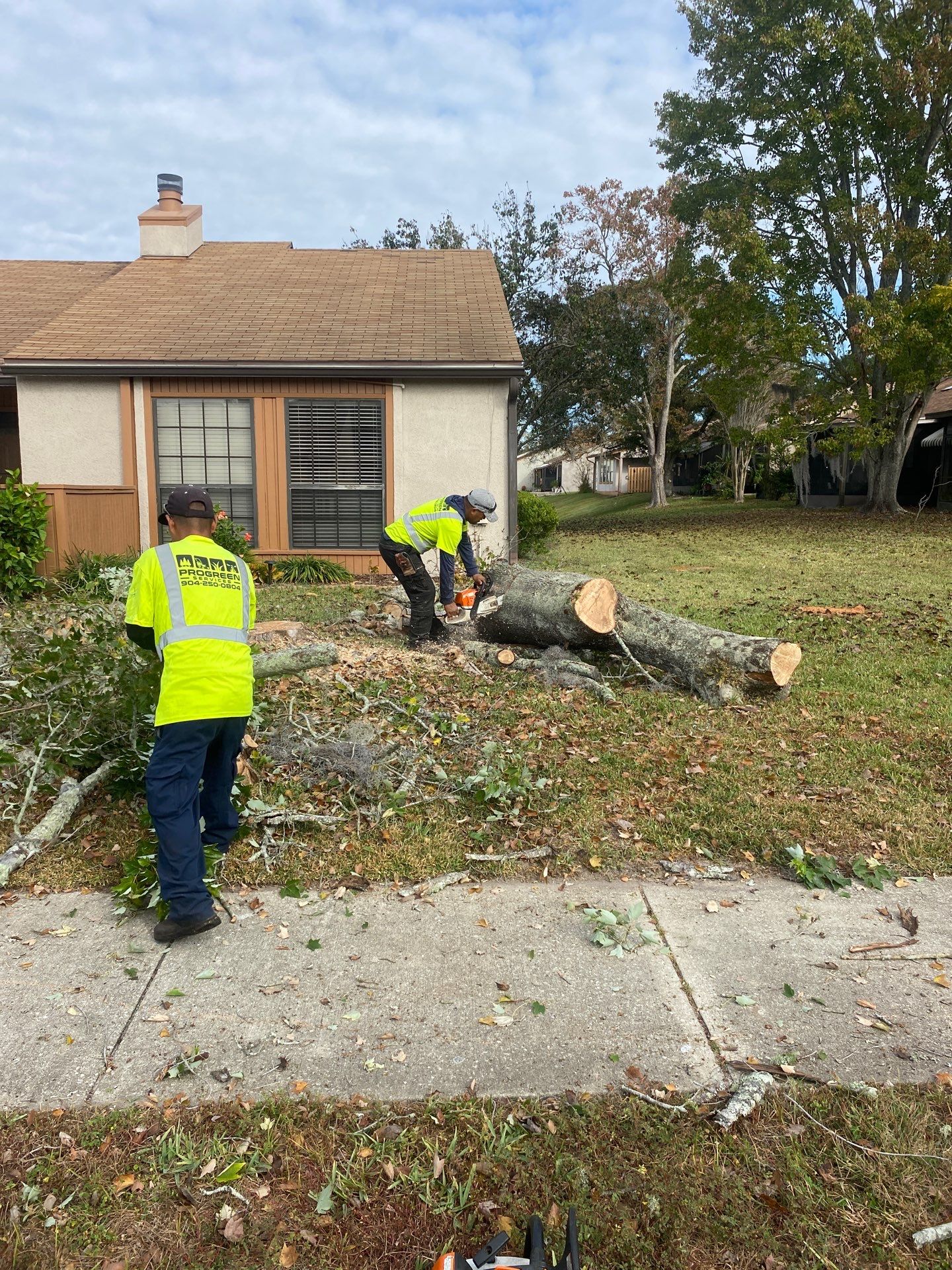 Residential | Tree Removal & Trimming by ProGreen Services