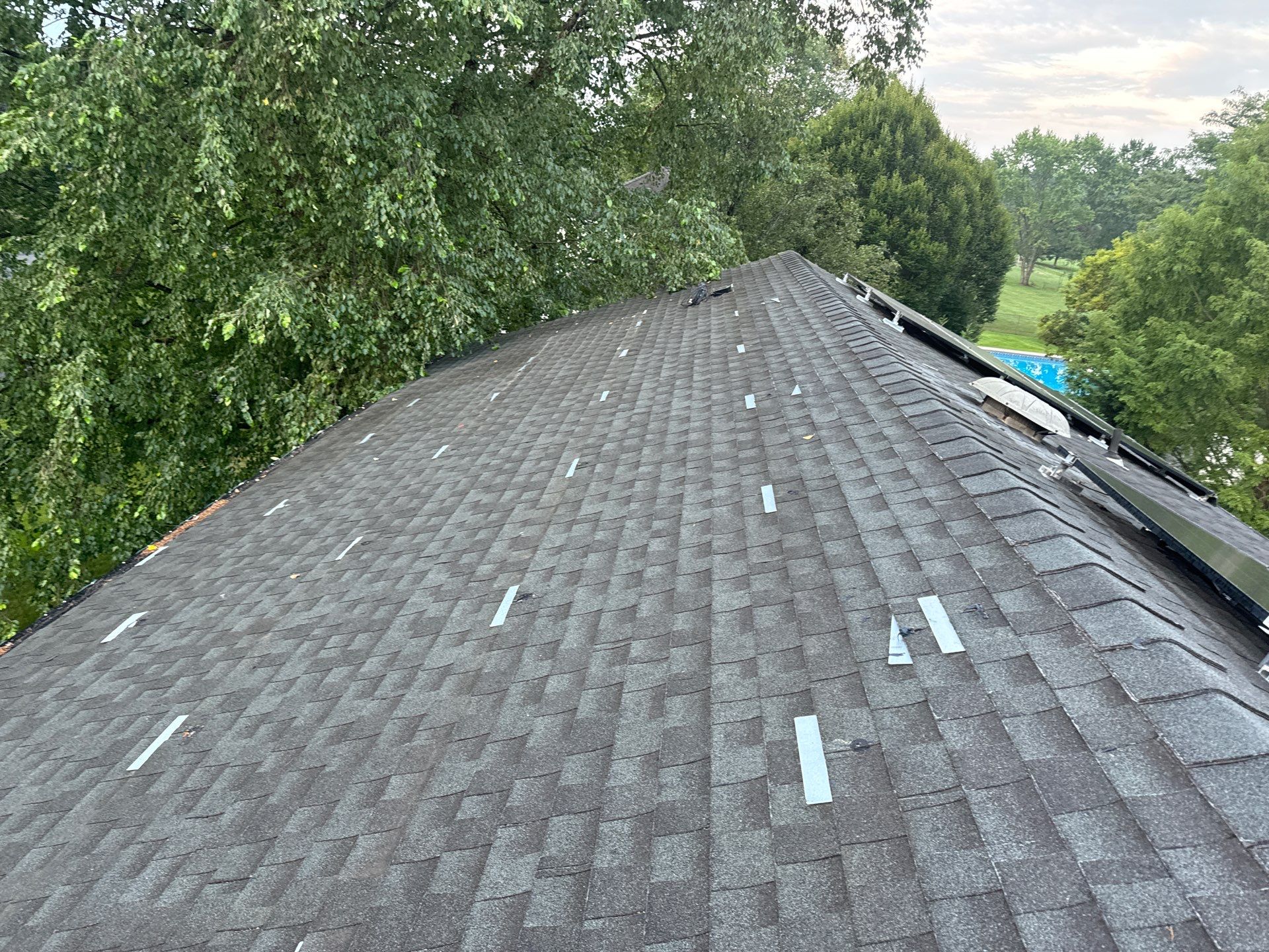 Silver Birch Shingles by Reimagine Roofing