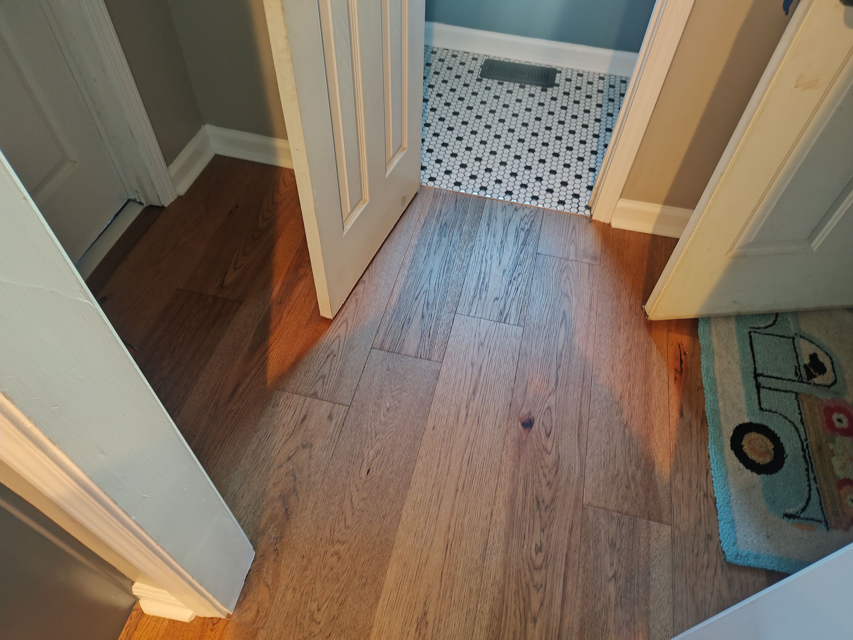 Project in Cumming by MoldTrust, Inc.