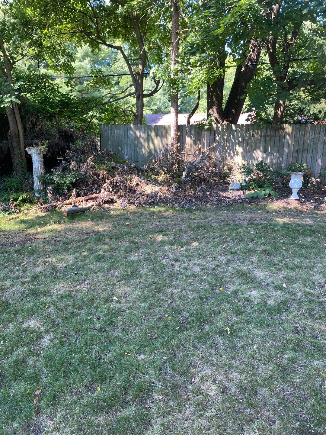 Storm Damaged Tree Removal  using Tree Removal by Mike Jones & Sons Tree Service LLC 