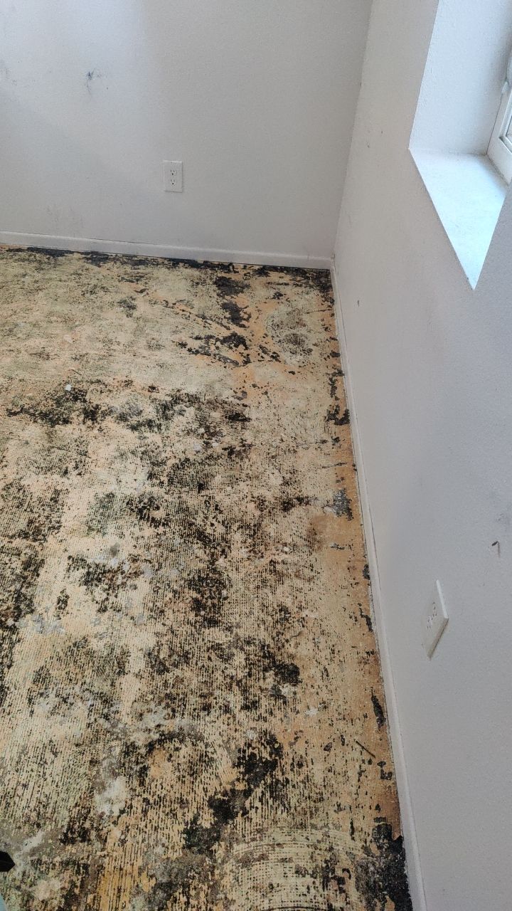 Water Damage by Accountable Home Services