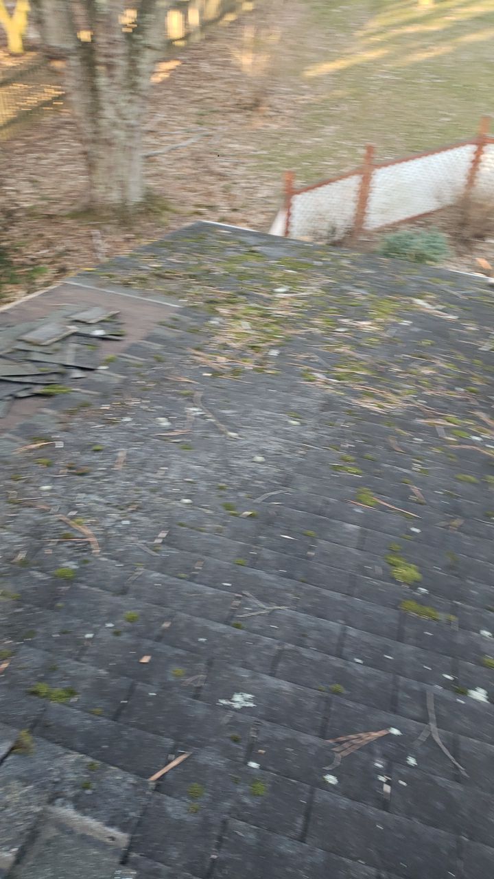 Fairfax: CertainTeed Landmark Pro Designer Shingles in Max Def Charcoal Black by RM Banning, Inc.