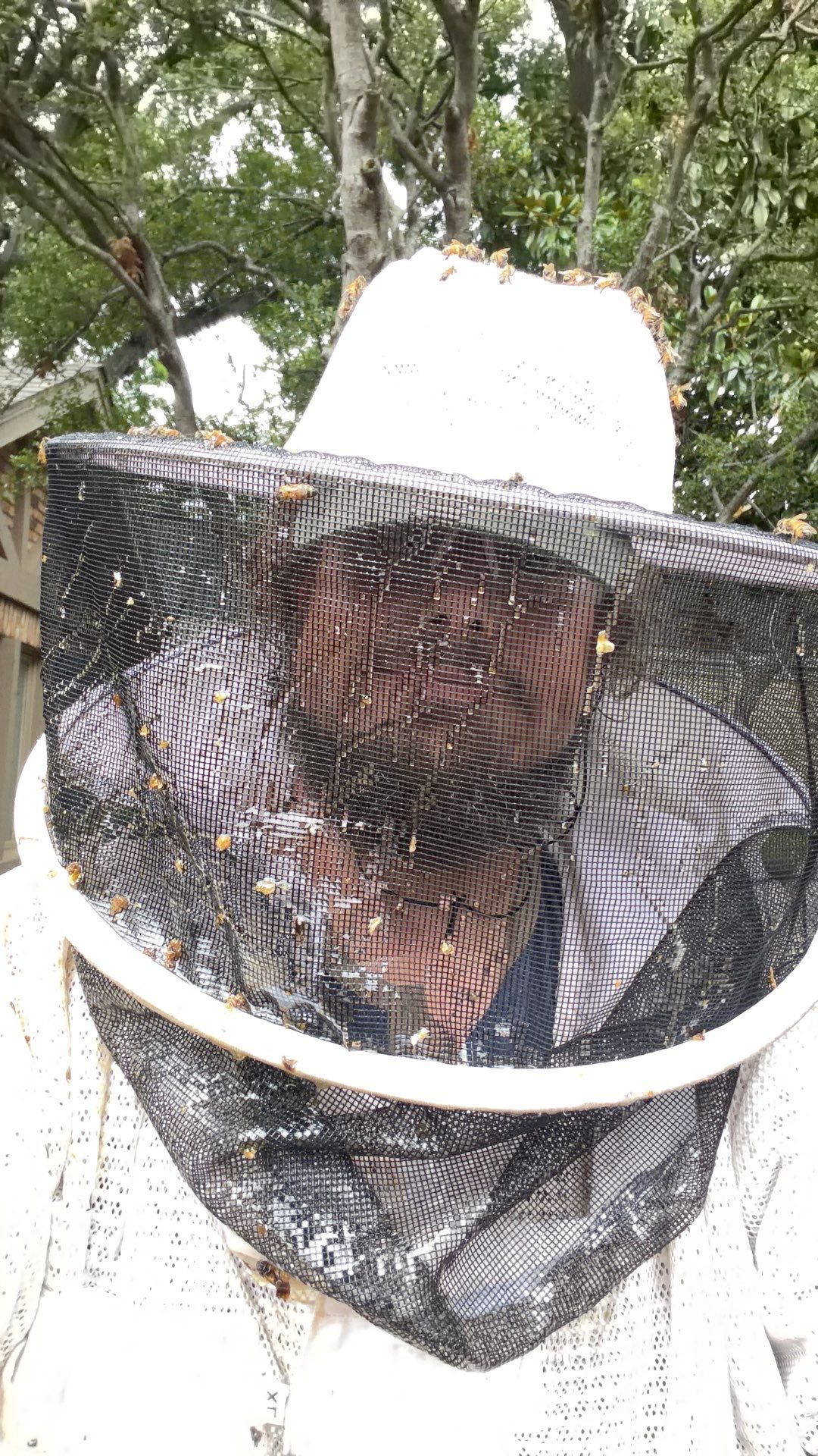 Wedged and Woody Bees by Rockwall Honey Bee Company