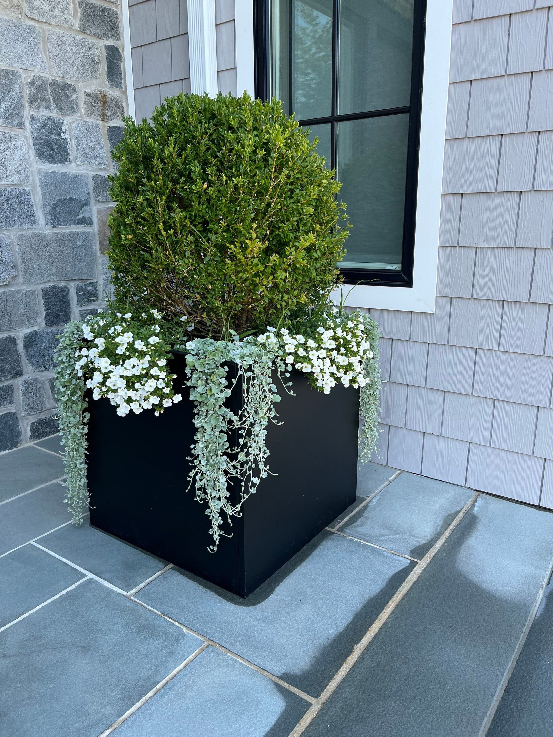 New Install by elegant Lawns