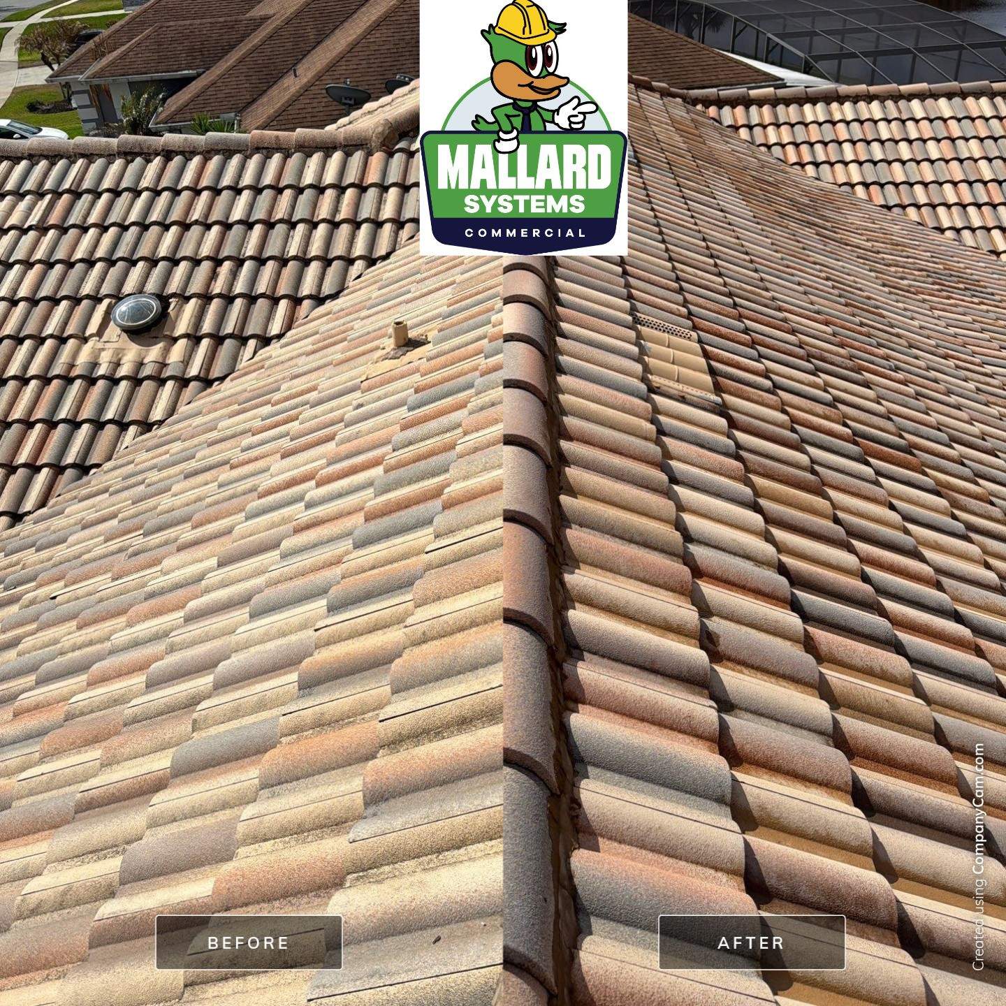 Flat Tile Roof Cleaning by Mallard Systems