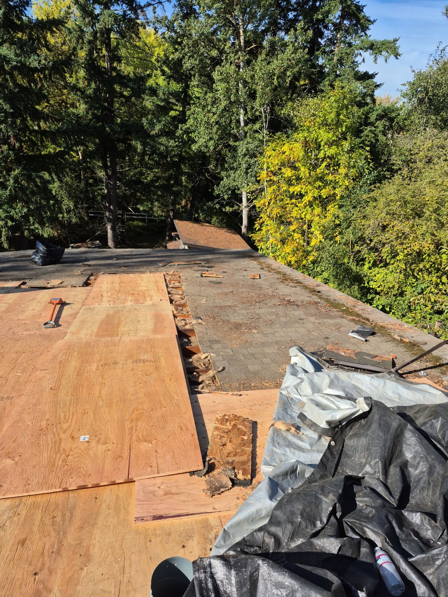 New Metal Roof and replace solar panels by Hawthorne General Construction